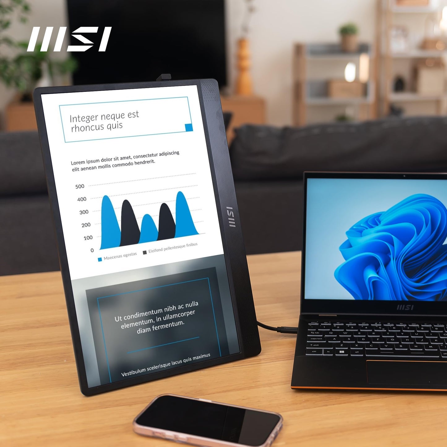 MSI Pro MP161 E2 Monitor portátil, 15.6 pulgadas FHD IPS 1080p, USB tipo C, Mini-HDMI, altavoces integrados, perfecto para PC, Mac, PS5, PS4, Xbox, móvil, gris metal