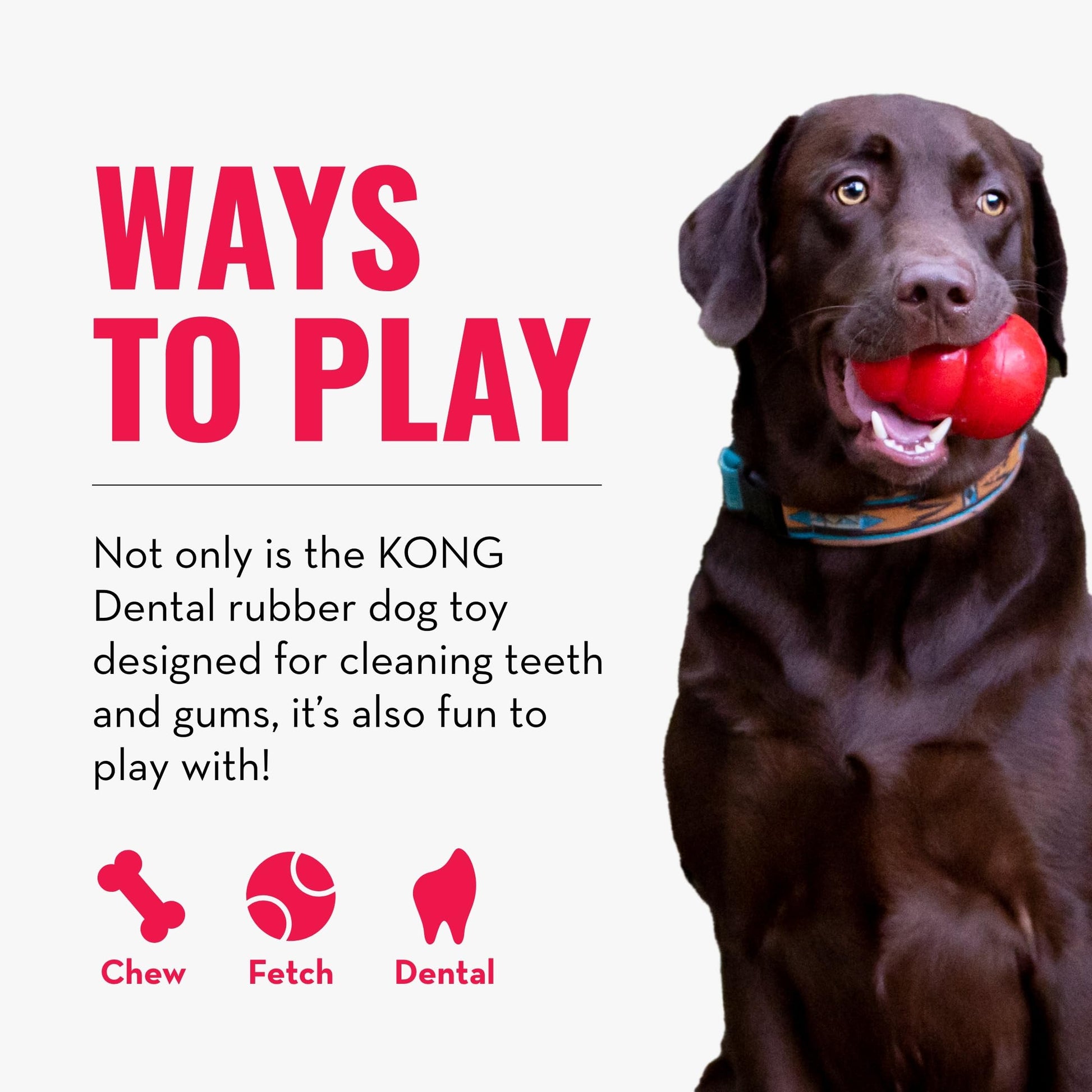 Kong Dental Juguete para los Dientes del Perro, Extragrande, Rojo