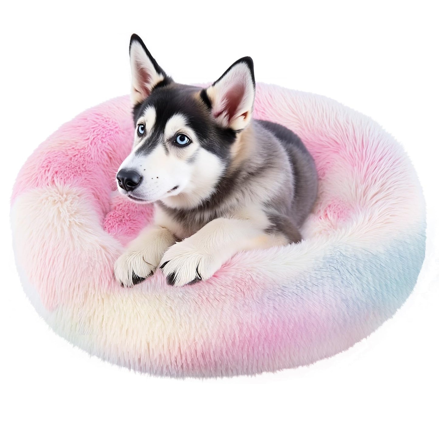 Cama de Donut Spring Blossoms Arcoiris Antideslizante y Mullida para Perro de 80 cm