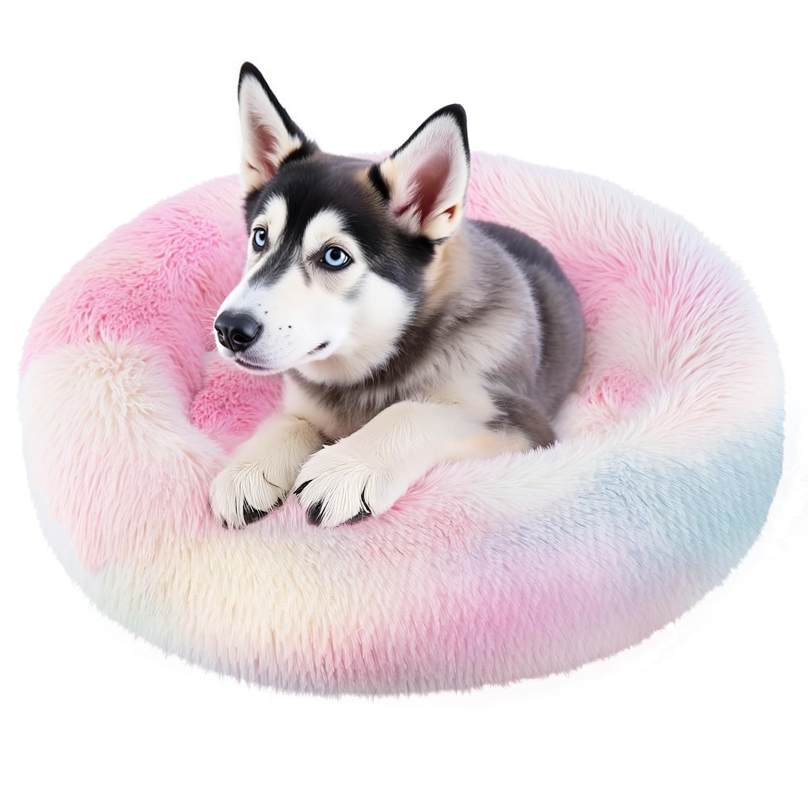 Cama de Donut Spring Blossoms Arcoiris Antideslizante y Mullida para Perro de 80 cm