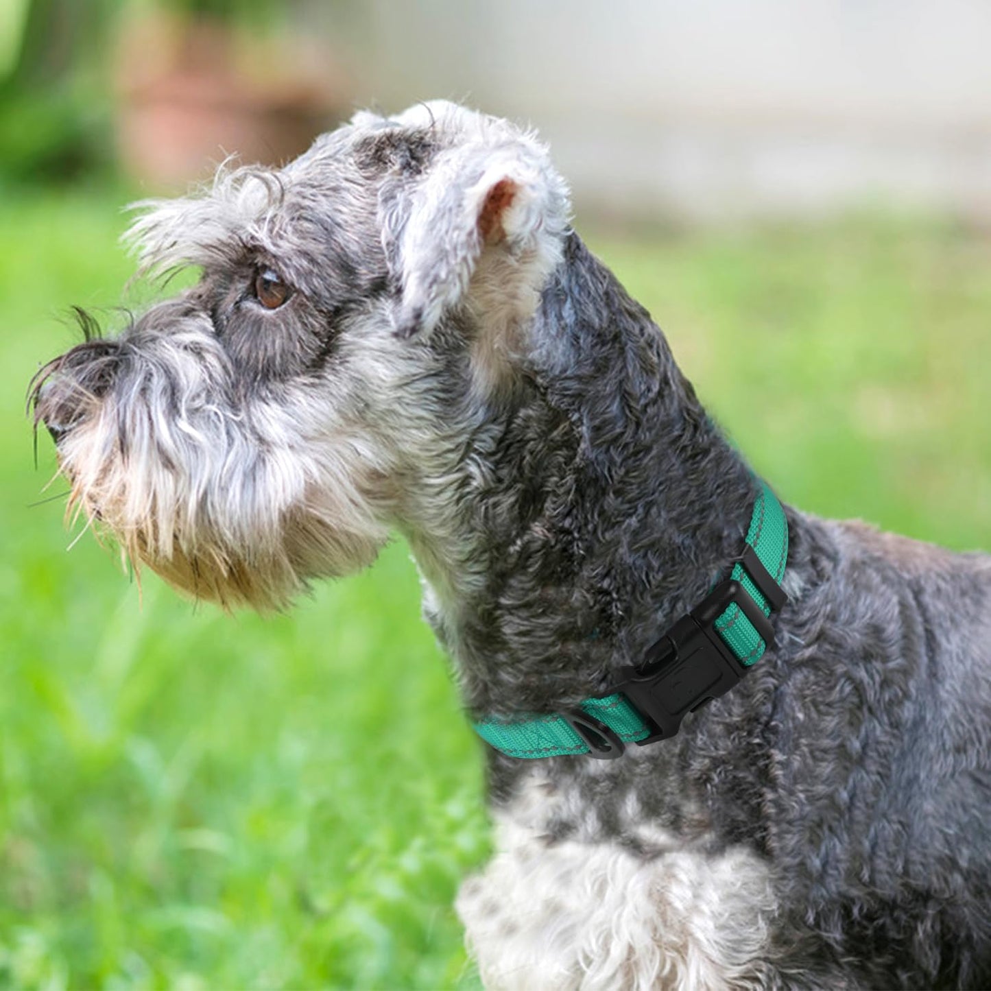 Joytale Collar reflectante para perro, suave de neopreno acolchado transpirable de nailon para mascotas ajustable para perros pequeños, verde azulado, S