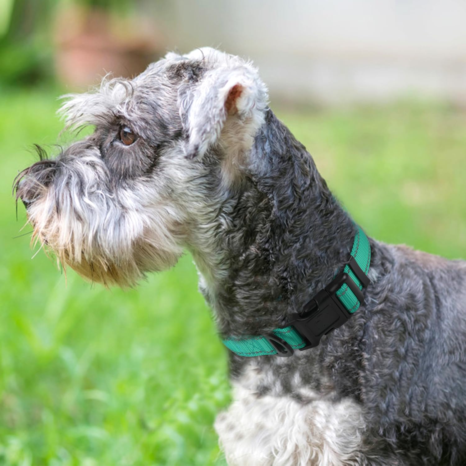 Joytale Collar reflectante para perro, suave de neopreno acolchado transpirable de nailon para mascotas ajustable para perros pequeños, verde azulado, S