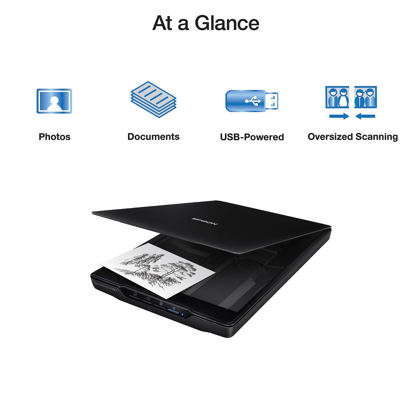 Escáner Plano Epson Perfection V39 II a Color Resolución 4800 PPP Tapa Extraíble Alta para Escaneo a la Nube USB