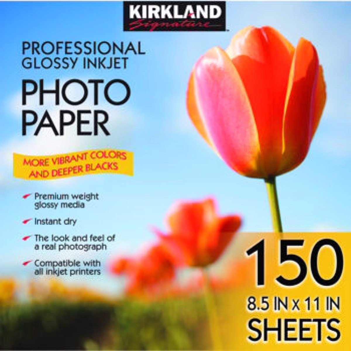 Papel Fotográfico Kirkland Satinado Premium 255g 150 Pz