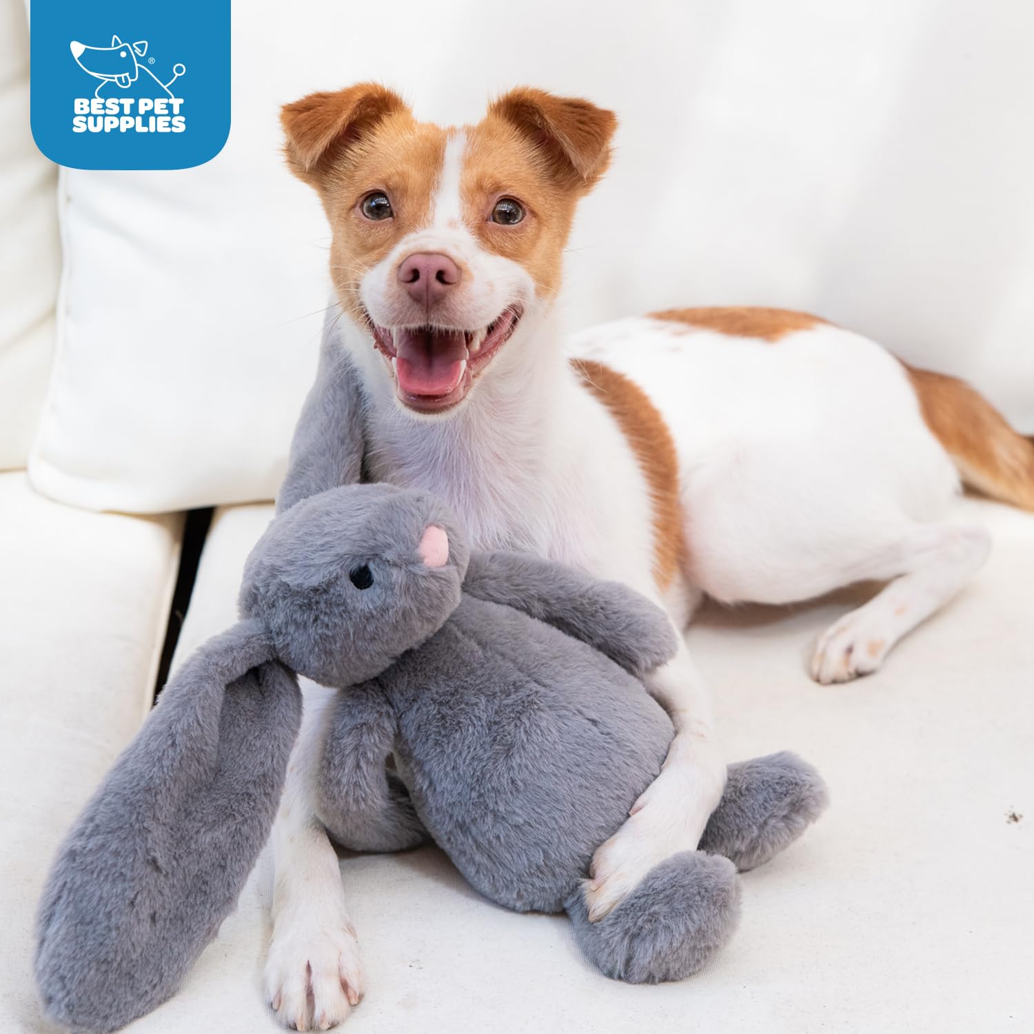 Juguete Interactivo para Perros Best Pet Supplies Gris con Enriquecimiento Arrugado y Chirriante
