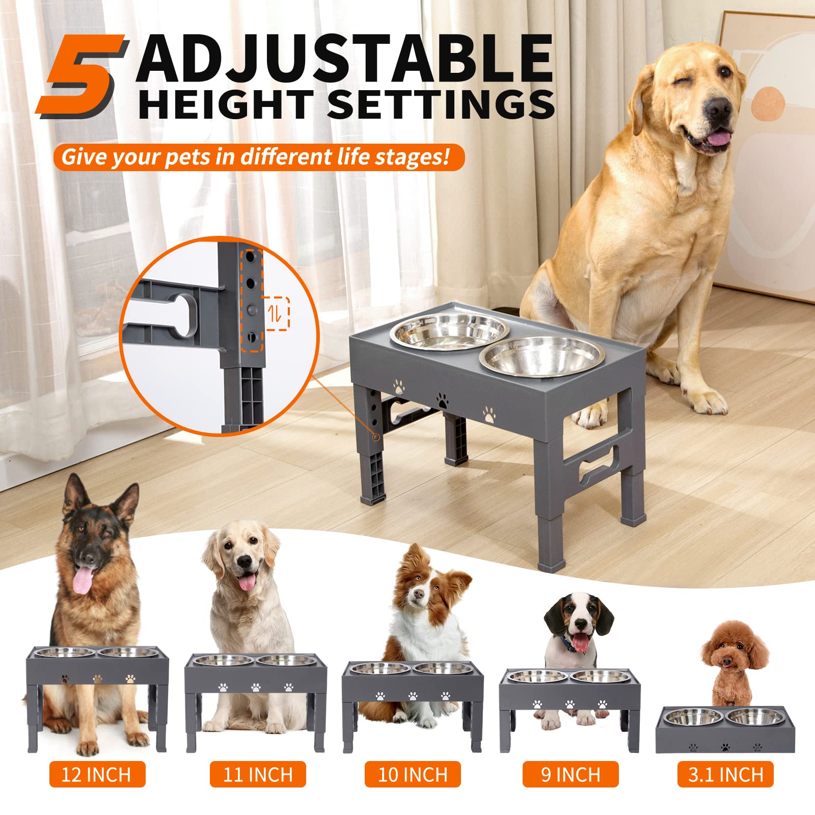 LAKIPETN - Cuencos elevados para perros con 2 cuencos de acero inoxidable para comida para perros, 5 cuencos elevados de altura ajustable que se ajusta a 3.1 pulgadas, 9 pulgadas, 10 pulgadas, 11 pulgadas, 12 pulgadas, plato antideslizante para perros peq