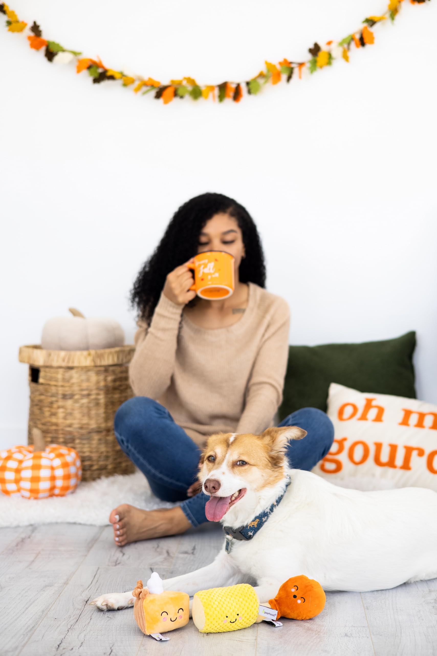 Juguetes para Perros con Cena de Acción de Gracias, Juego de 3, Juguetes de Peluche para Perros, Juguetes para Mascotas navideñas, Accesorios imprescindibles para propietarios de Mascotas