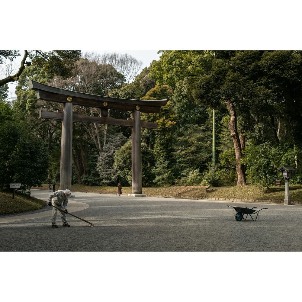 SIGMA Lente 30mm F1.4 DC DN (C) -X