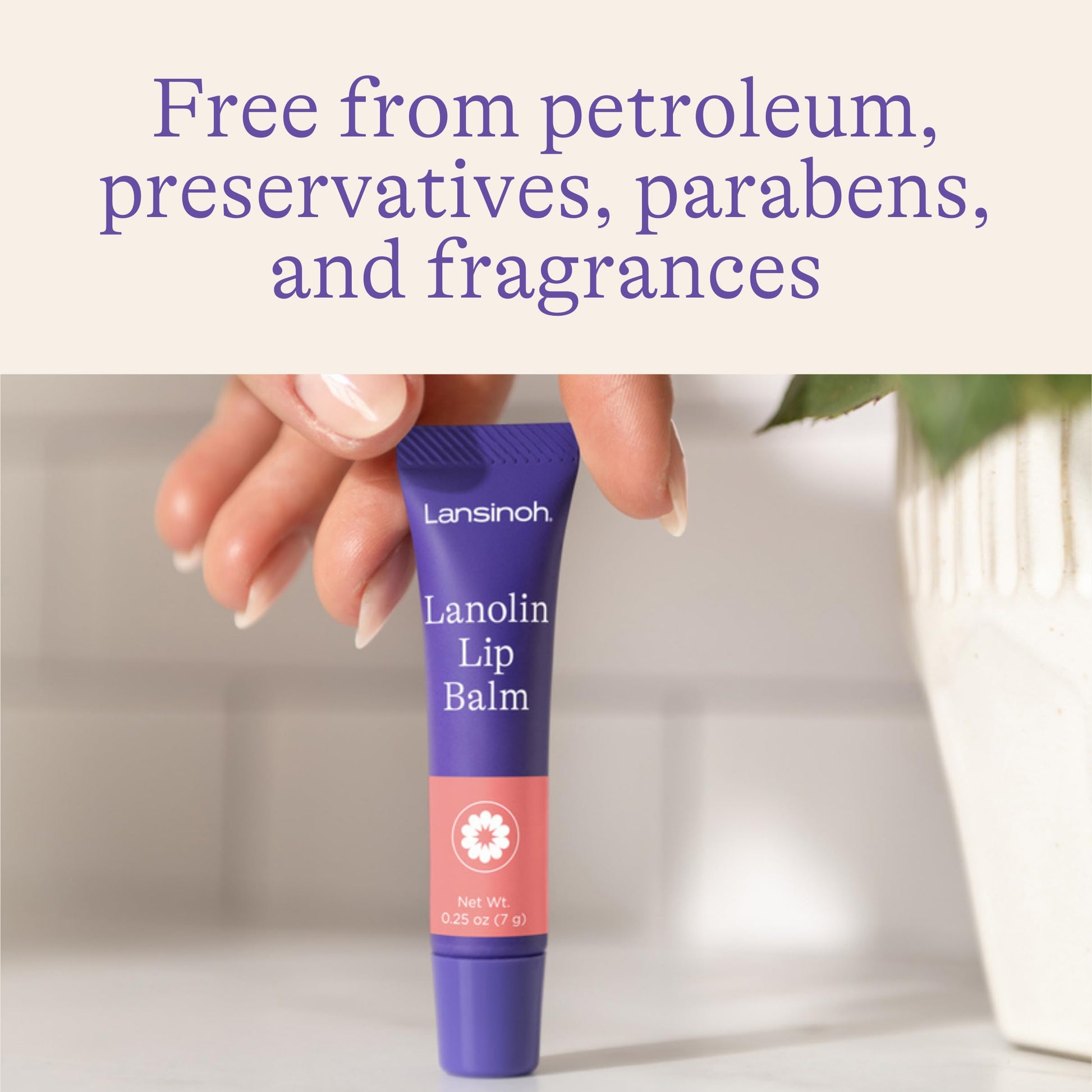 Lansinoh Lanolin Lip Balm, Pack of 4