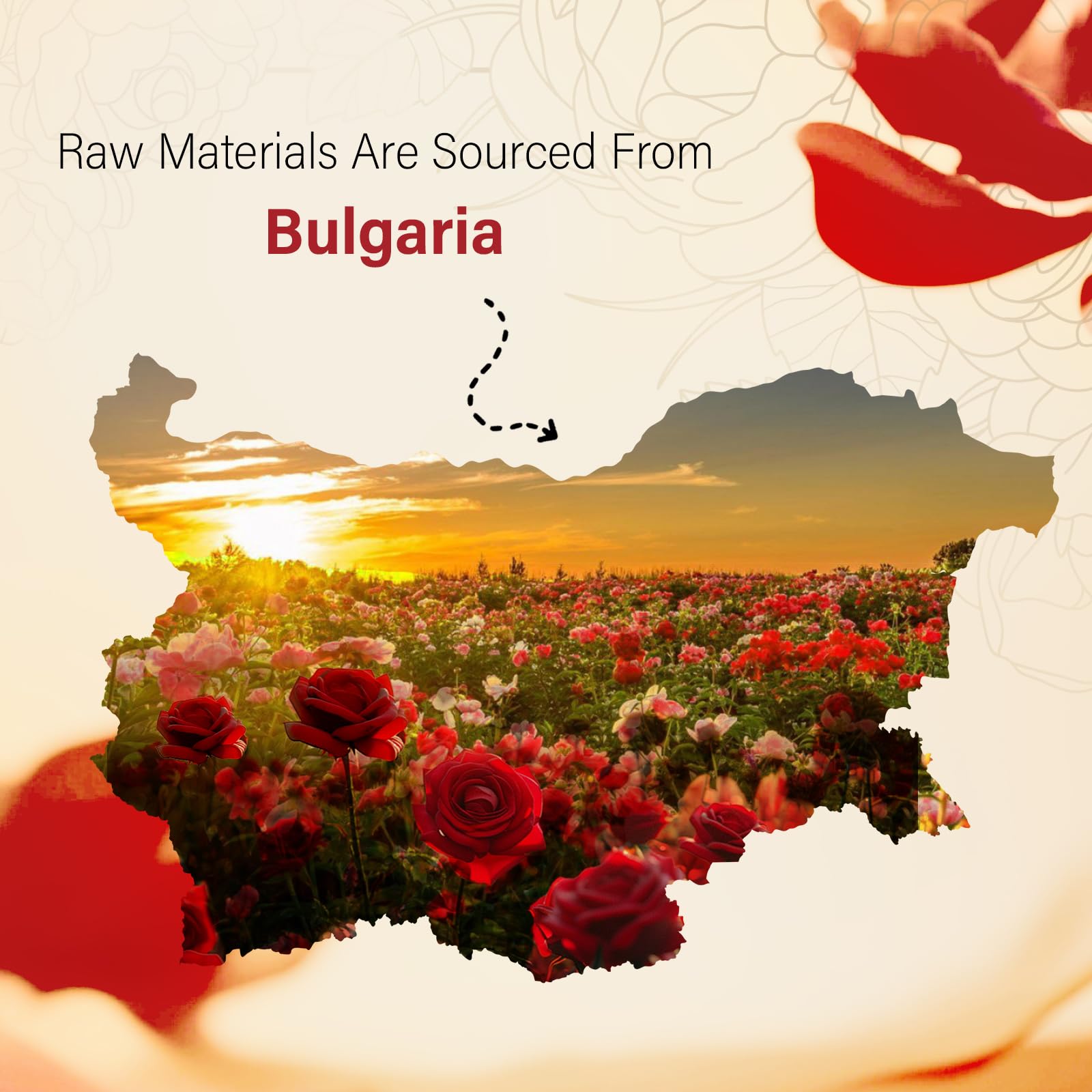 Aceite Esencial 100% Puro Rose Grado Terapéutico 10 ml