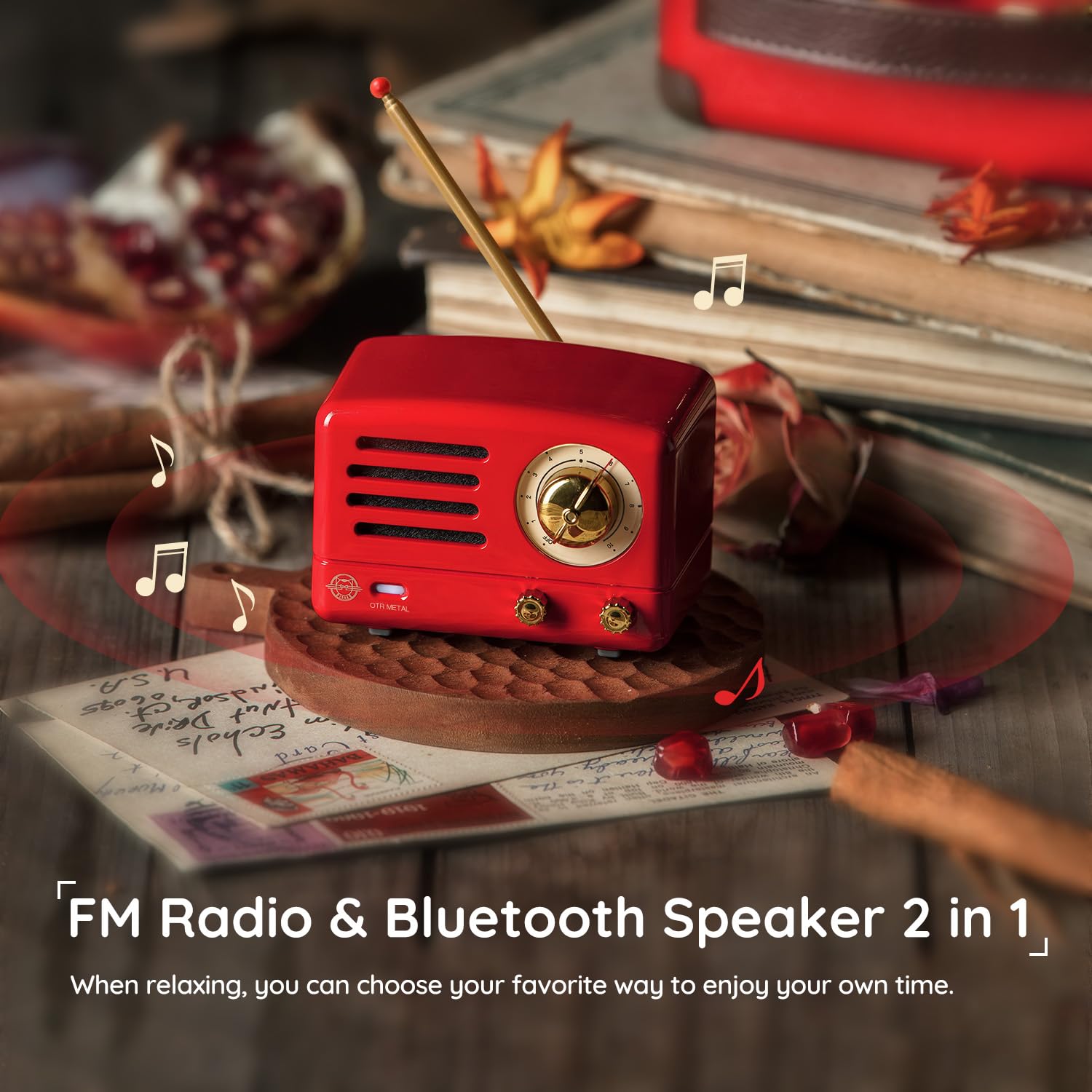 Muzen - Altavoz Bluetooth portátil, Altavoz inalámbrico pequeño de Metal OTR, Radio FM con Antena AUX, 10 Horas de Tiempo de reproducción prolongado, Audio estéreo de Alta fidelidad con veliz,