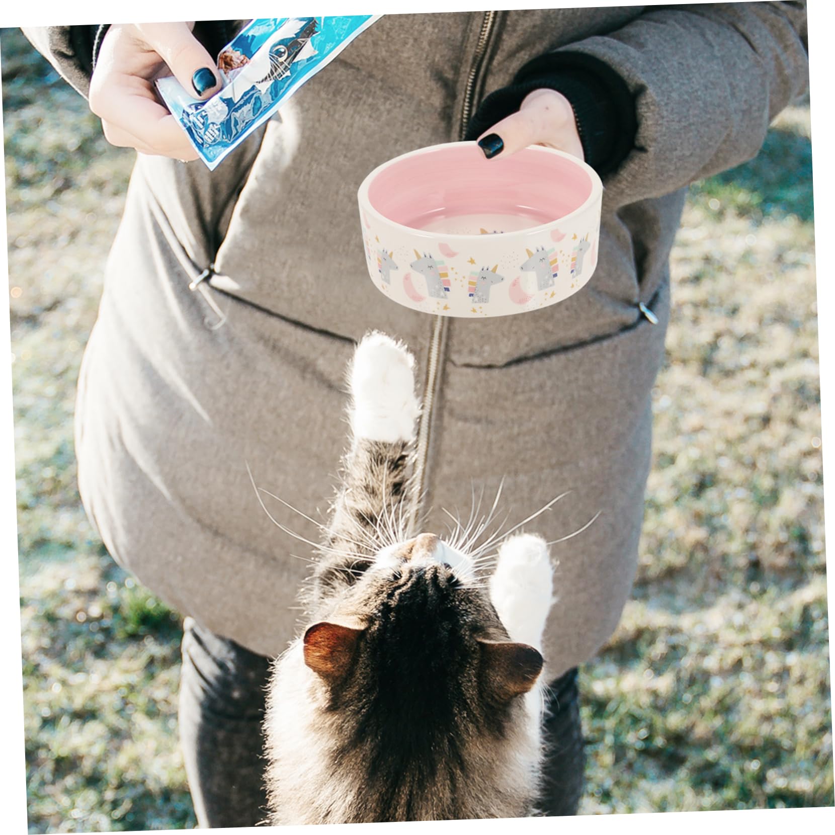 FOMIYES Comedero para Mascotas Tazón De Comida para Perros Platos para Perros Tazón De Agua para Perros Pequeños Cuenco De Agua para Gatos Cerámica Acero Inoxidable Fácil De Limpiar Rosa