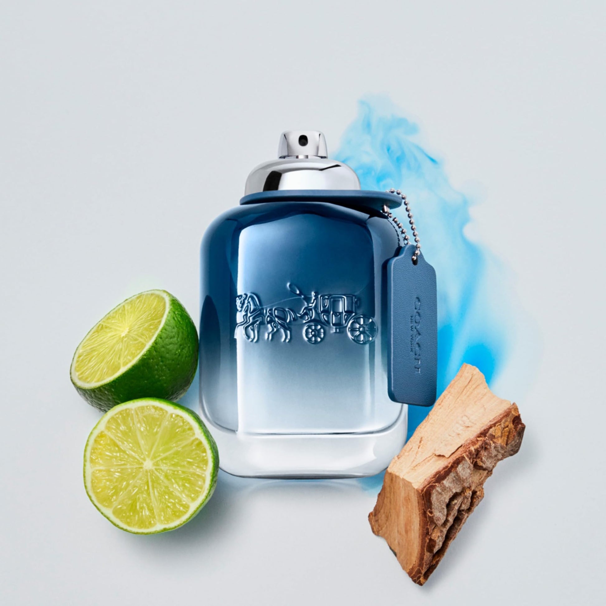 Coach Para hombres azul 3.5 oz EDT Spray