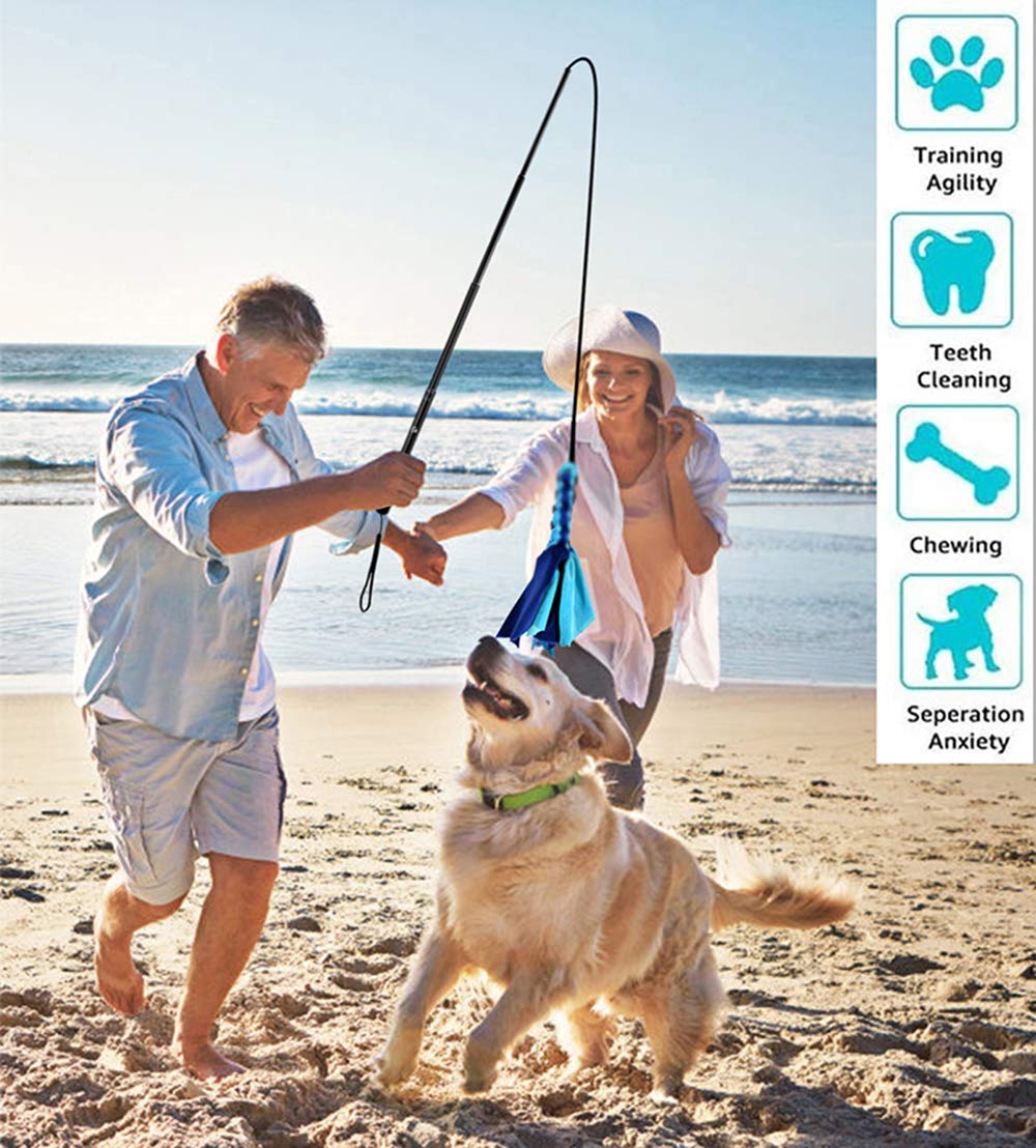 GoodsBeauty Poste de coqueteo para Perros – Poste de coqueteo Extensible con 2 señuelos de Forro Polar para Perros Entretenimiento al Aire Libre, Entrenamiento y Ejercicio, Nuevo café