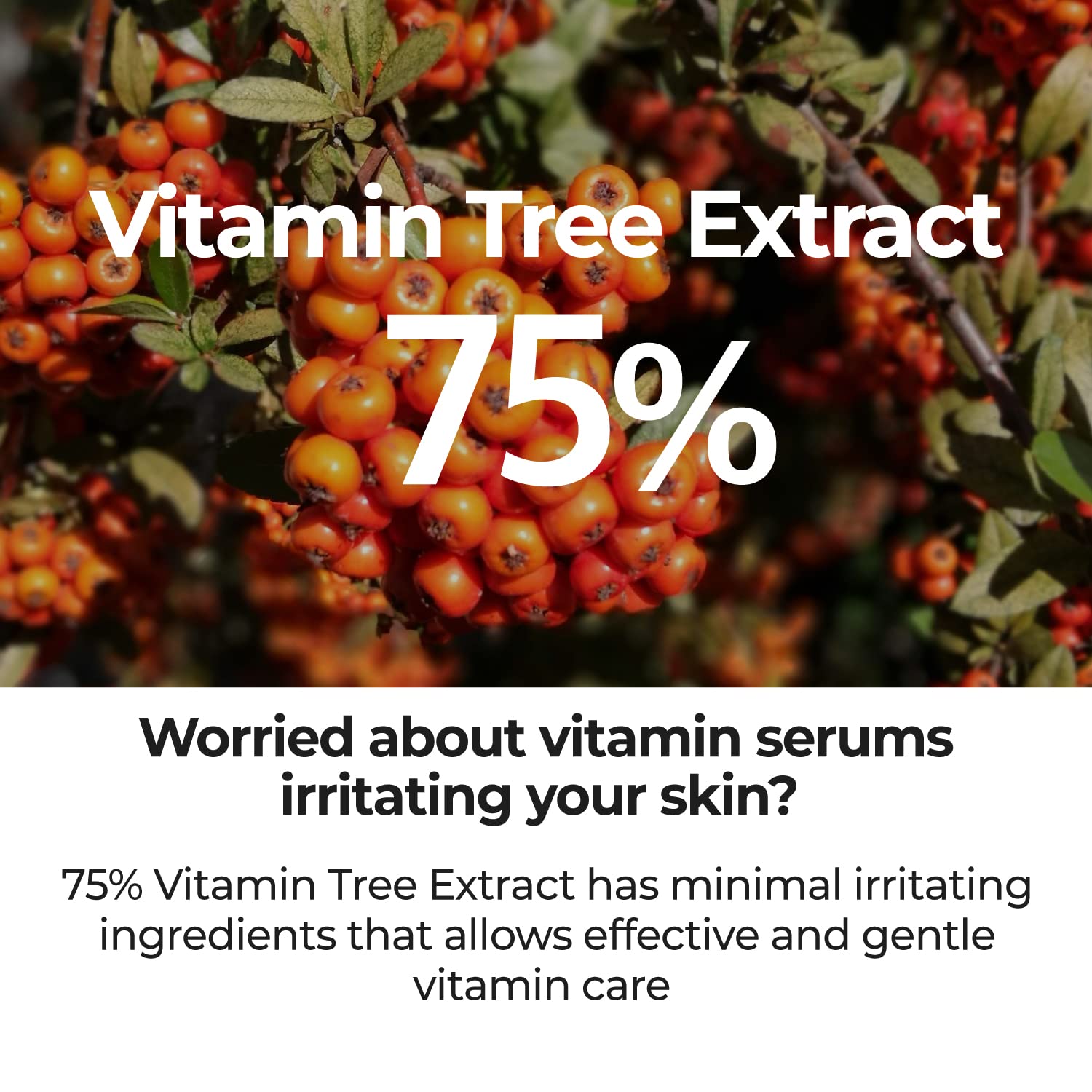 No 5 Goodbye Blemish Serum by Numbuzin for Unisex - 1.69 oz Serum