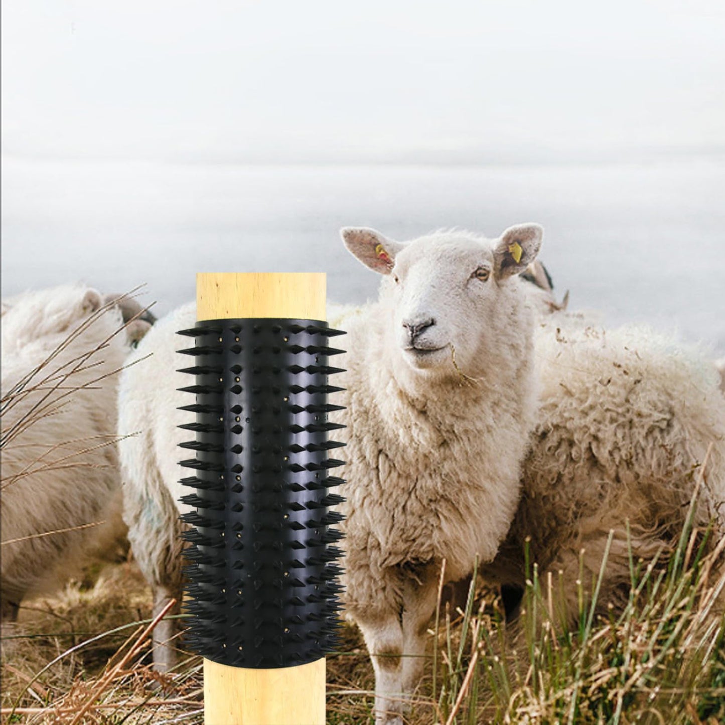 Poste Rascador Equino Almohadilla Negro con 40 Tornillos para Alivio de Cosquillas de Animales