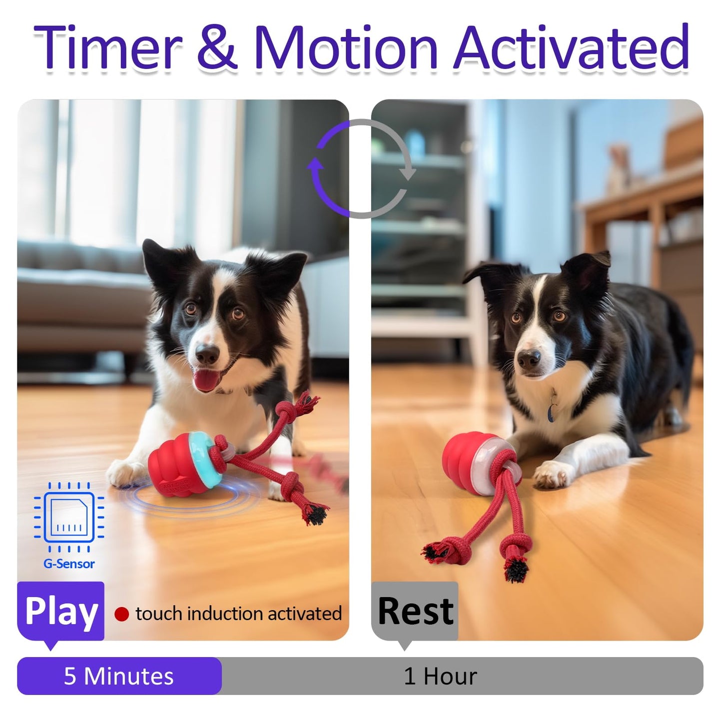 Giociv - Juguetes interactivos para perros con activación por movimiento, juguete para perros chirriantes, bola de malvada para entrenamiento diario (nuevo)