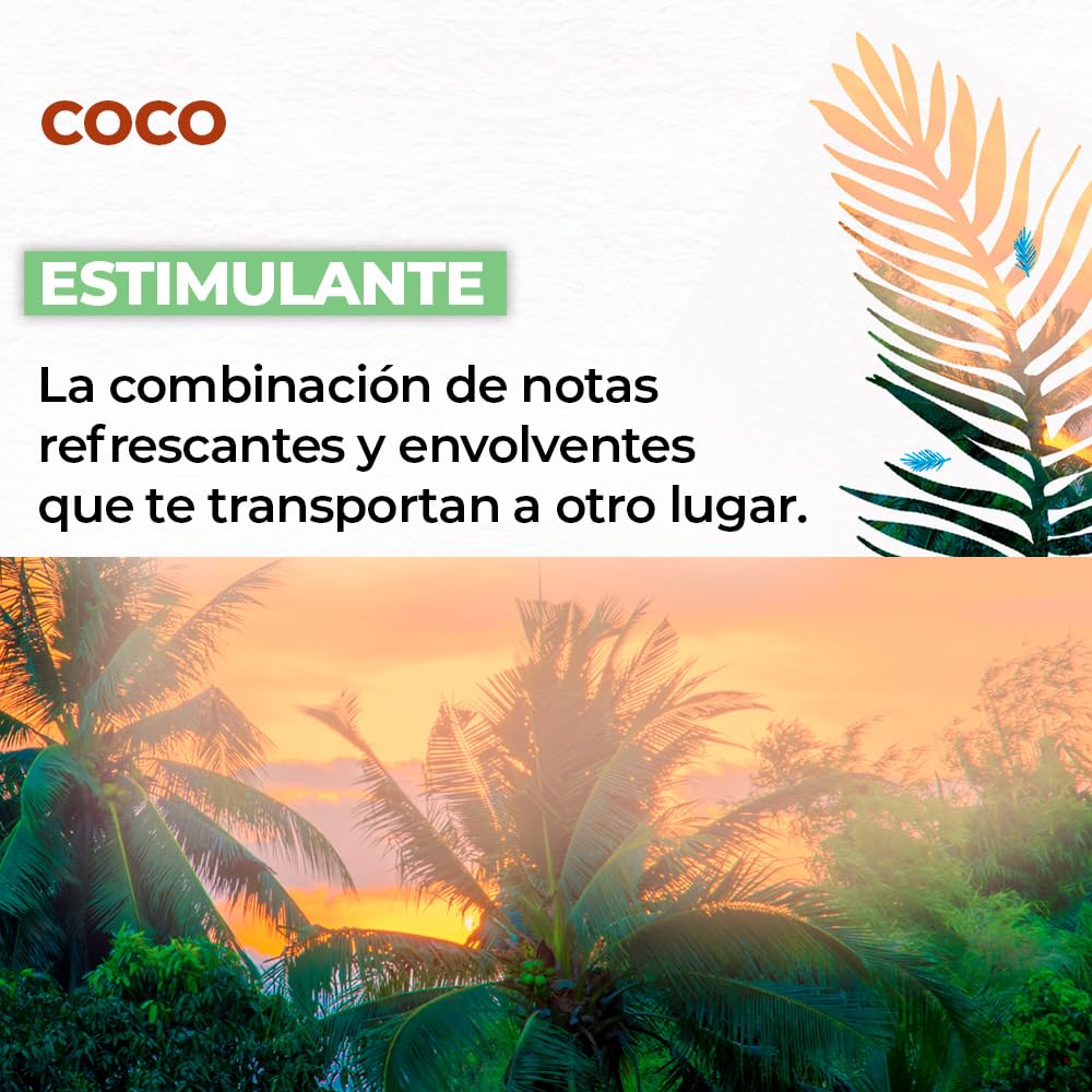 YVES ROCHER - Set Eco-Refill Gel de Ducha Coco, Todo Tipo de Piel, Fórmula Vegana, Incluye 2 Geles 600 ml c/u