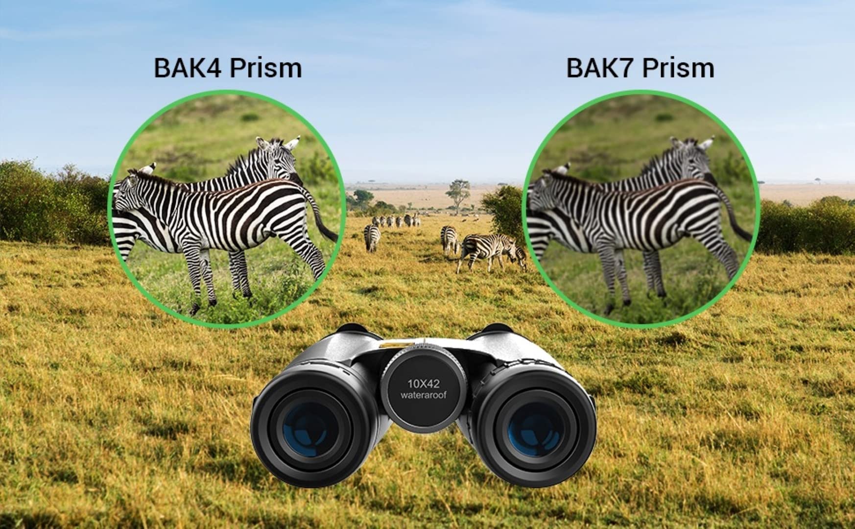 Prismáticos Birds of Prey Optics 10 x 42 Alta Potencia con Bolsa de Transporte para Adultos