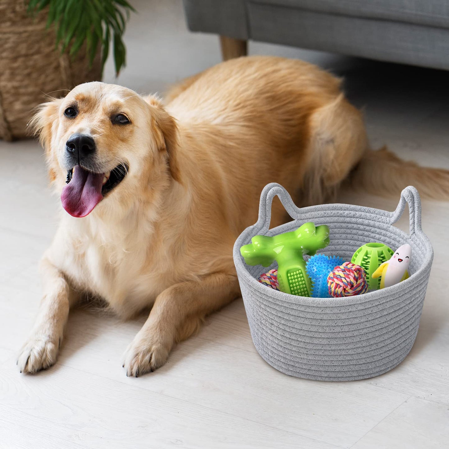 Cafshion - Organizador de juguetes para orejas de gato pequeñas, cesta de cuerda de algodón tejida, contenedores decorativos para guardería y cajas, cesta de regalo vacía para almacenamiento de