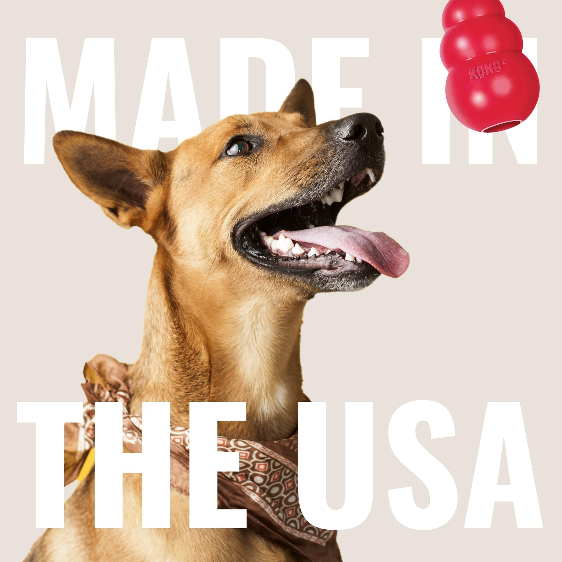 KONG Goodie Bone with Rope Dog Toy, Rojo, XS
