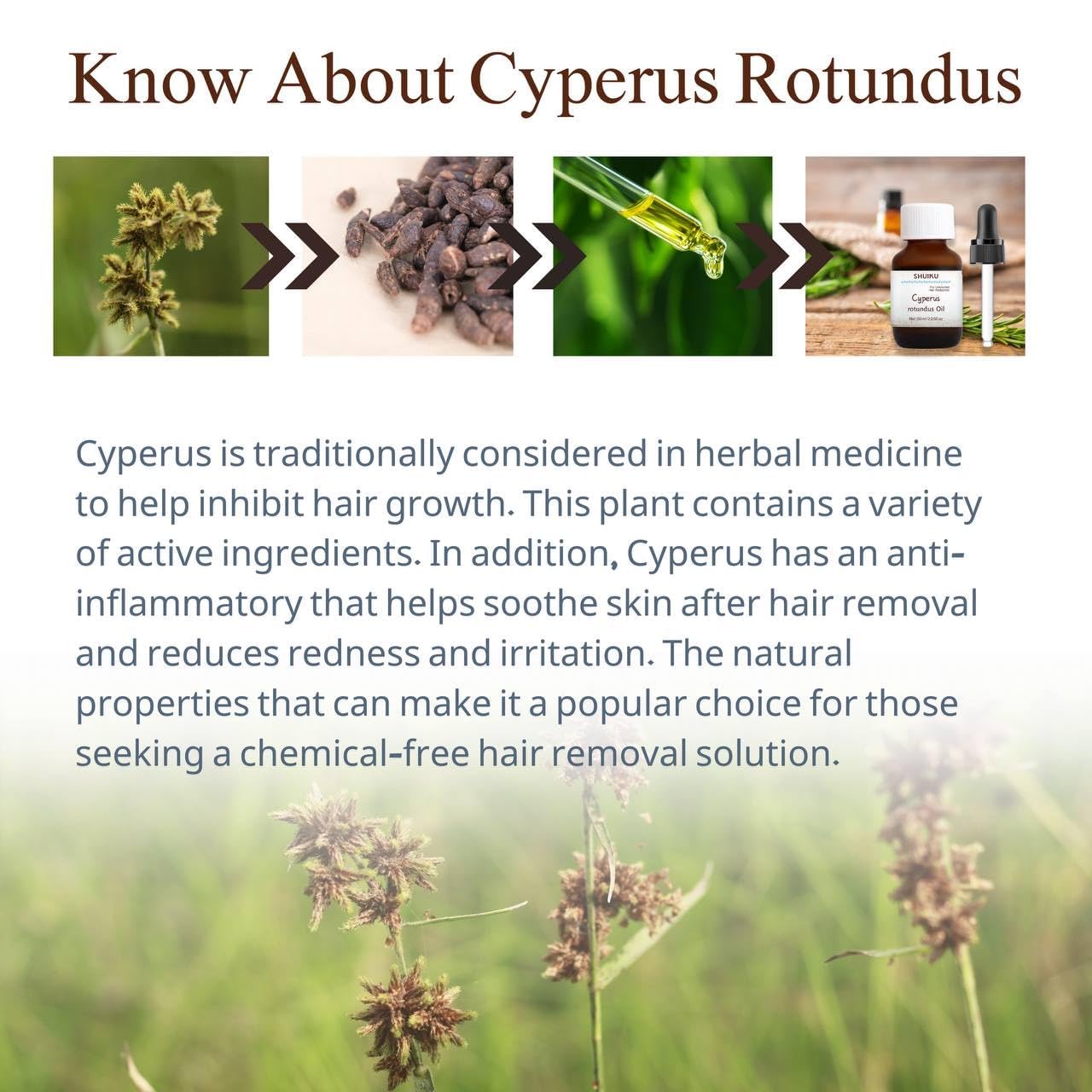 Pack Doble de Aceite de Cyperus rotundus Premium para Eliminar Vello Corporal - 100% Natural - Tratamiento Efectivo con Aroma Relajante