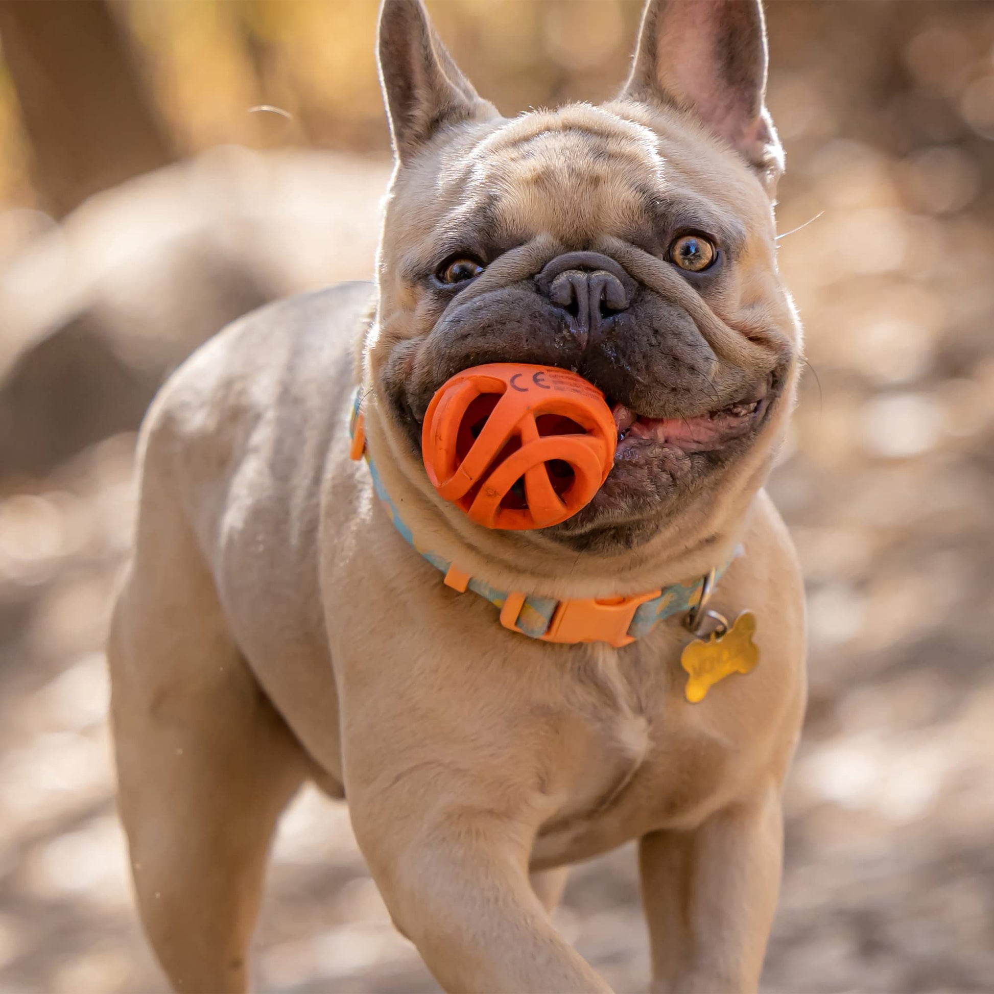 Chuckit! Breathe Right Fetch - Juego de 2 Bolas, pequeño