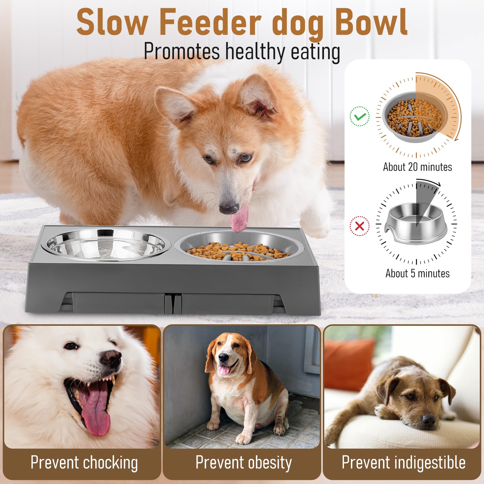 Cuenco Elevado para Perro, Comedero Elevado con 5 Alturas Ajustable para Perro y Gato, Comedores Elevados con Comedero Lento y 2 Cuencos de Acero Inoxidable para Perros Pequeños, Medianos y Grandes