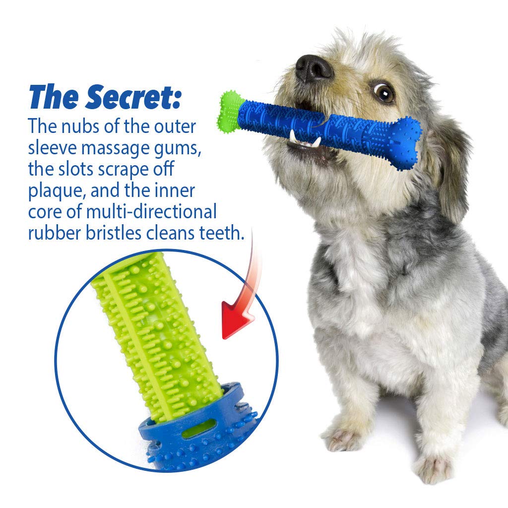 BulbHead cepillo para polvo de dientes para perro y cepillo para polvo de dientes – No requiere pasta dental de perro – Gran juguete de limpieza de dientes de perro, 1 paquete, 1 paquete