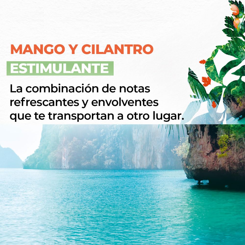 Yves Rocher MAXI TRI PACK Geles de ducha Aromas Relajantes y Estimulantes: VAINILLA FRANCESA + OLIVA Y NARANJO + MANGO Y CILANTRO de 400 ml C/U
