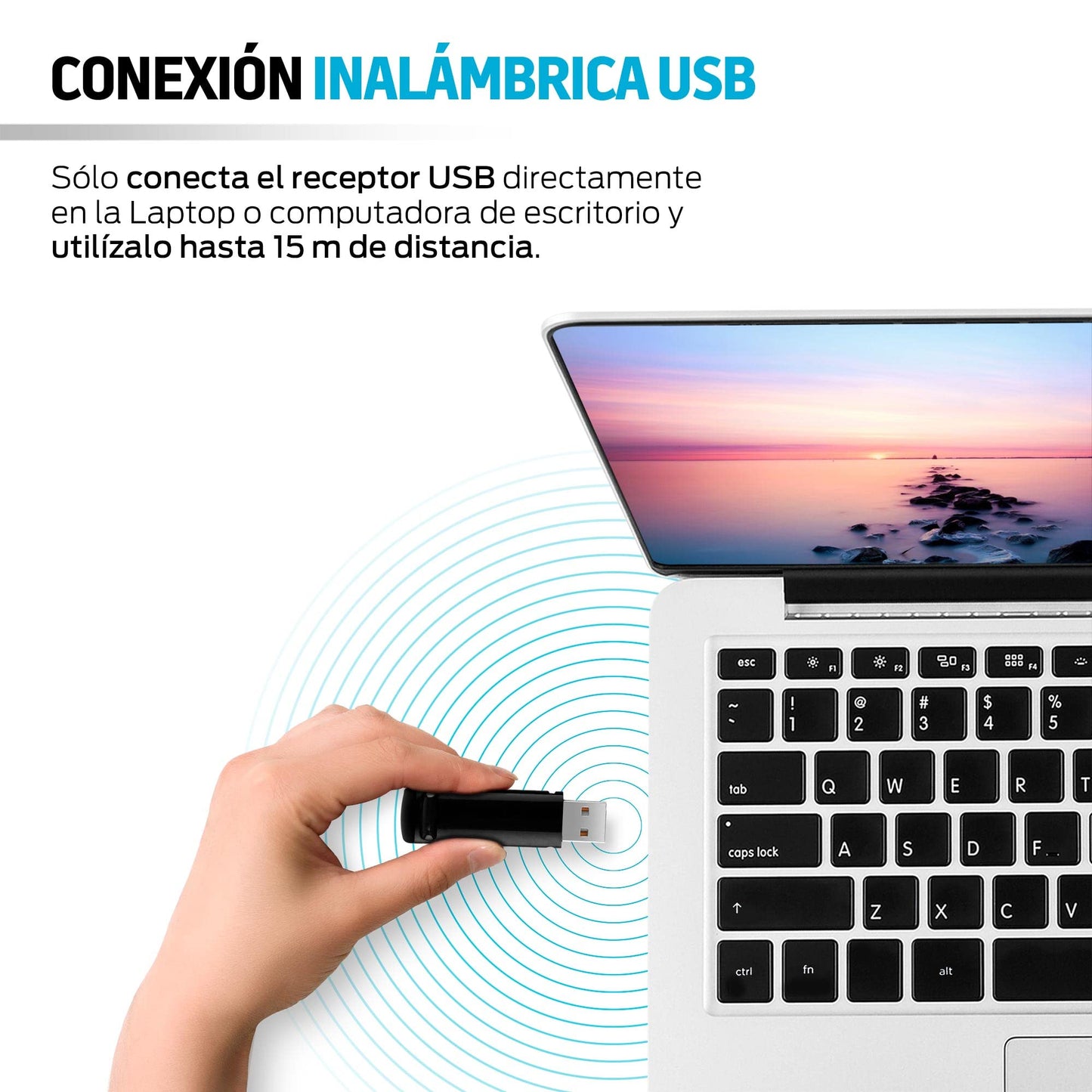Presentador Inalámbrico Redlemon Negro con Receptor USB y Estuche