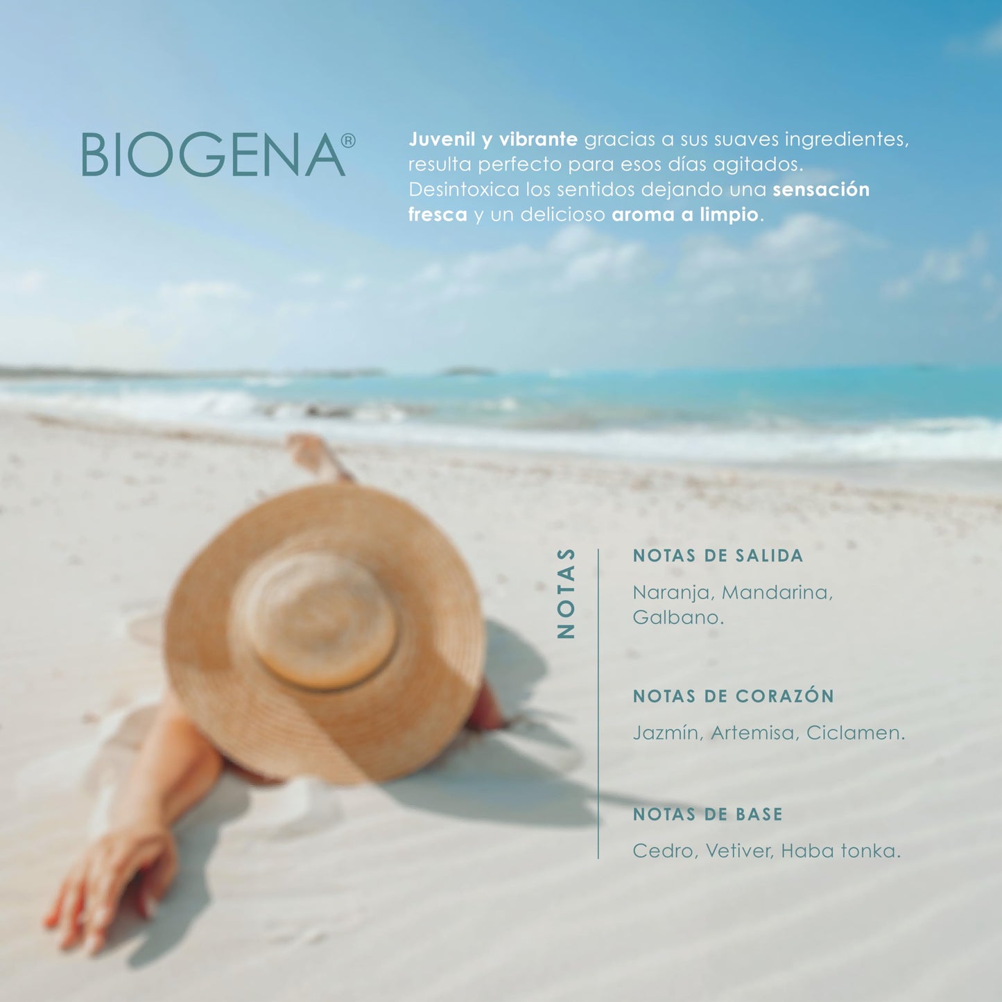 Jabón Hotelero Biogena Flowpack 30 g Caja con 300 Piezas | Jabón Individual para Airbnb, Hoteles y Spa | Aroma Cítrico Floral, Amenidades Premium para Huéspedes