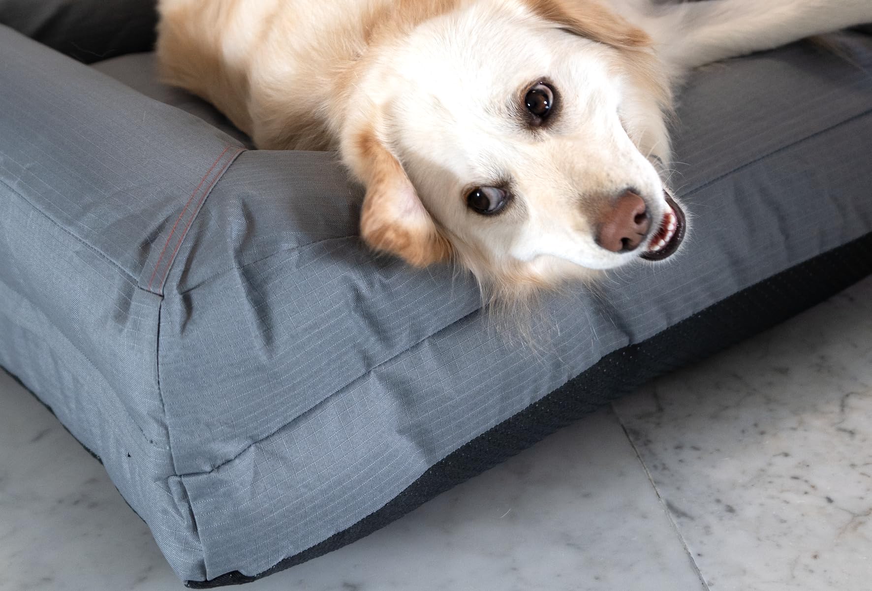 Cama para Perro Grande OGAGU Gris Resistente y Transpirable para Exterior