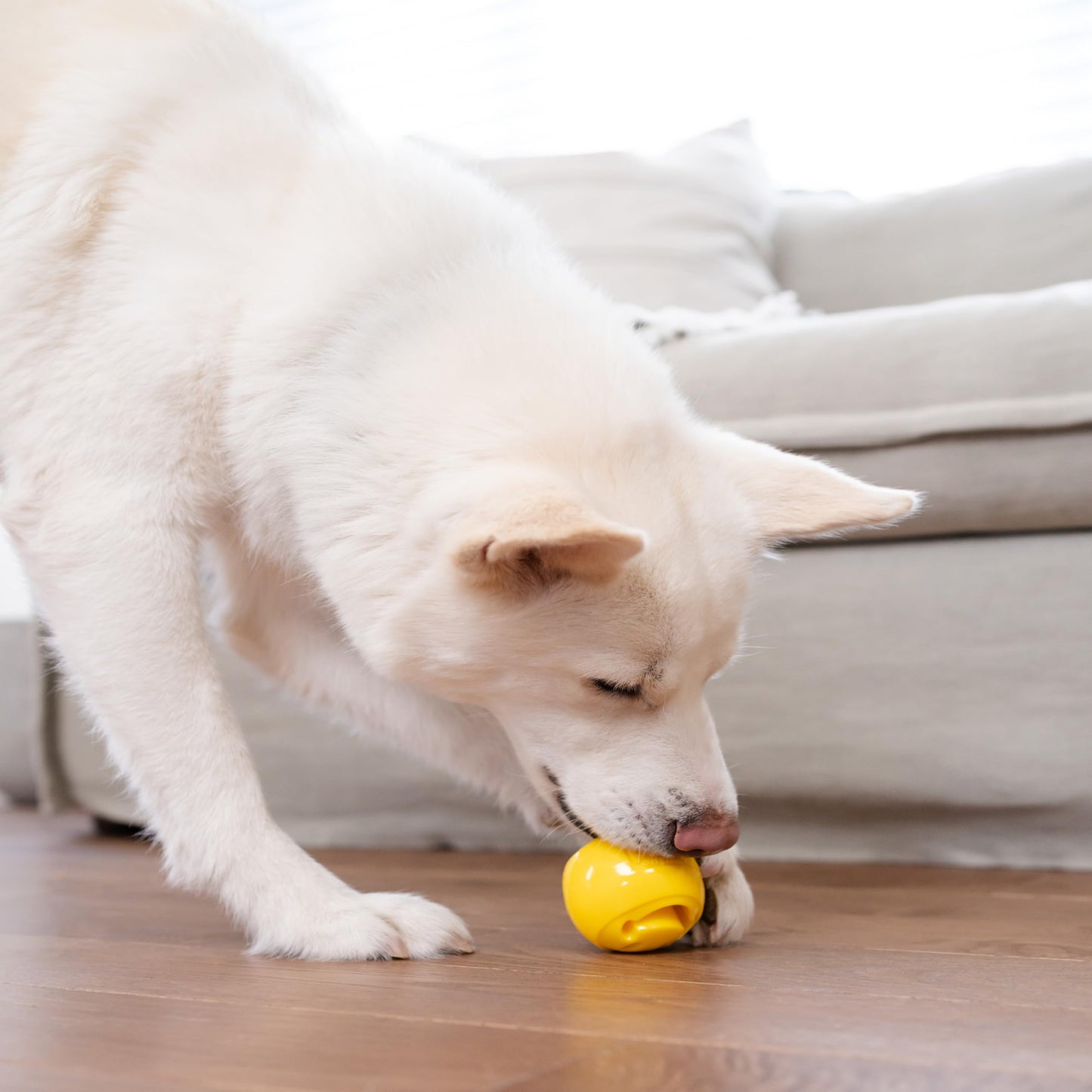 Juguete Planet Dog Orbee-Tuff Nooks Amarillo Smiley Face