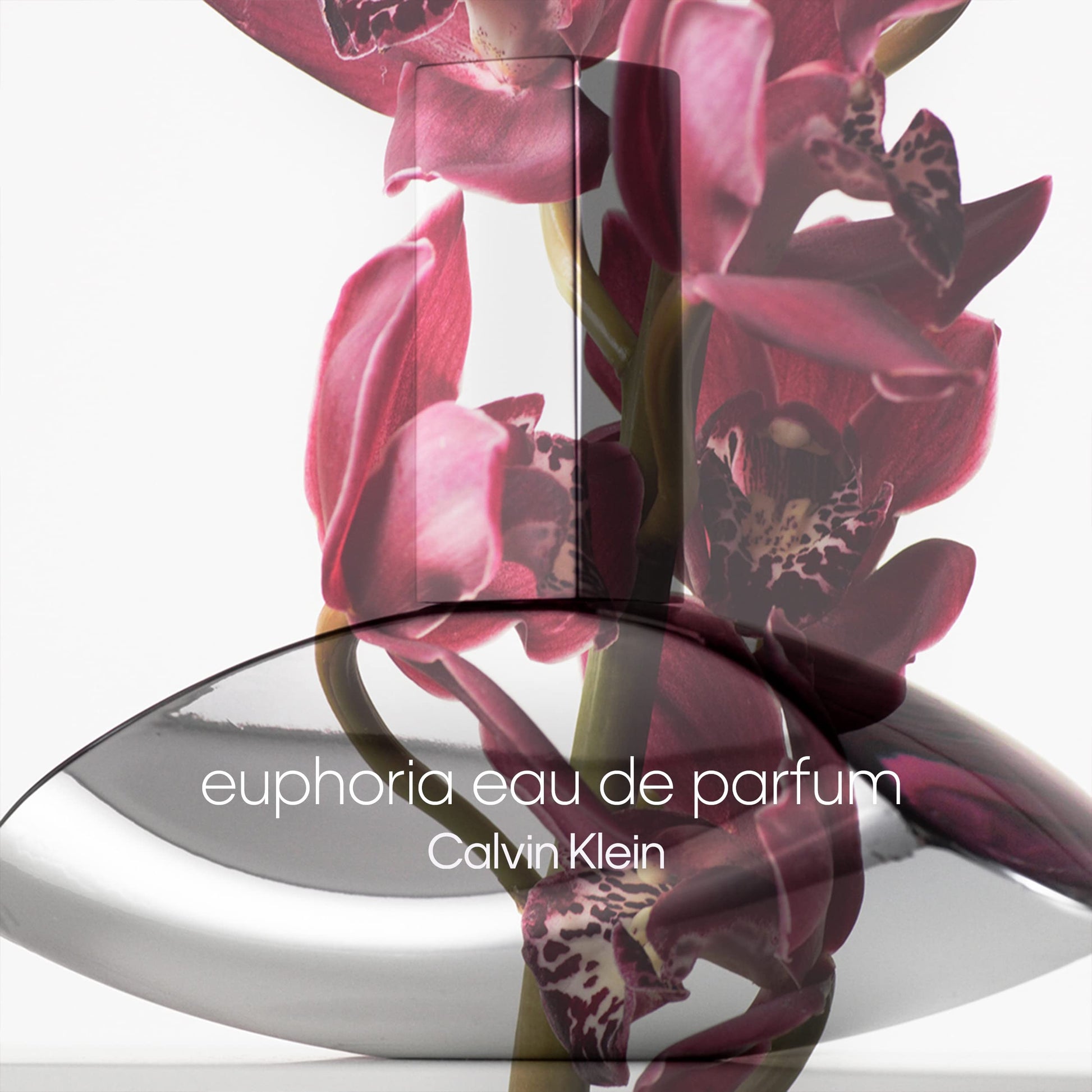 CALVIN KLEIN - Euphoria Eau de Parfum Mujer 100 ml, Fragancia Oriental Floral, Notas de Granada y Orquídea Negra, Perfume Sensual y Sofisticado, Aroma Intenso y Duradero, Colonia Original