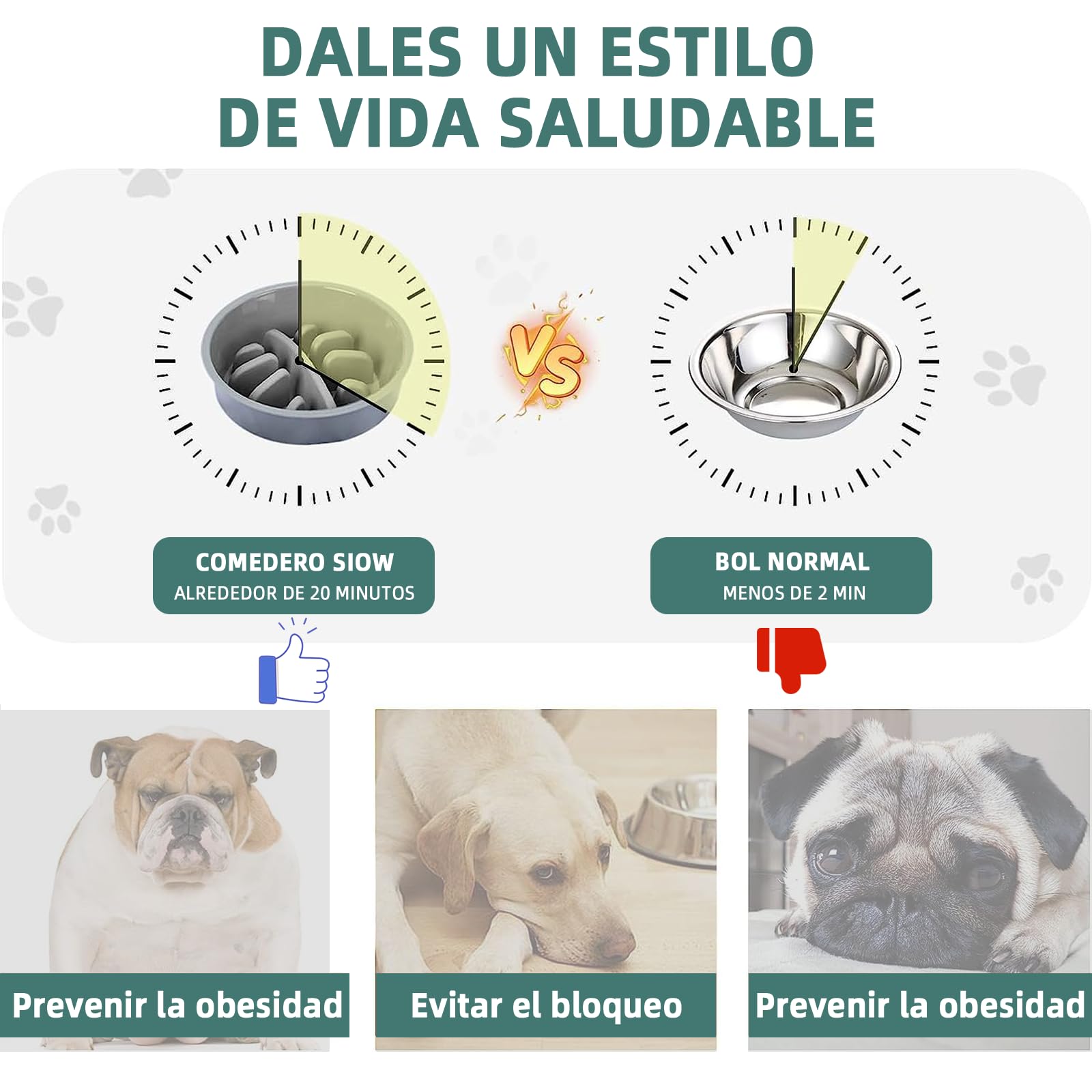 Cuencos Elevados EKEJLI Negro Ajustables para Perros y Gatos de Tamaño Mediano y Grande