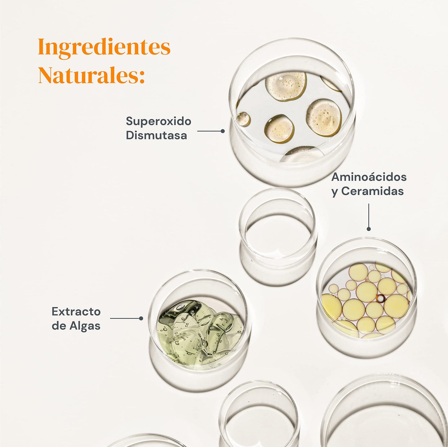 SODIMEL Suero Facial Antioxidante | Tratamiento Auxiliar para el Estrés de la Piel | Previene Daños Solares, Nutre e Hidrata la Piel | 30 gr