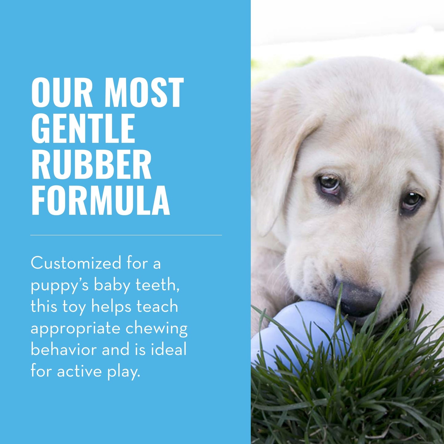 Kong Juguete para Cachorros, extra pequeño (El Color puede Variar)