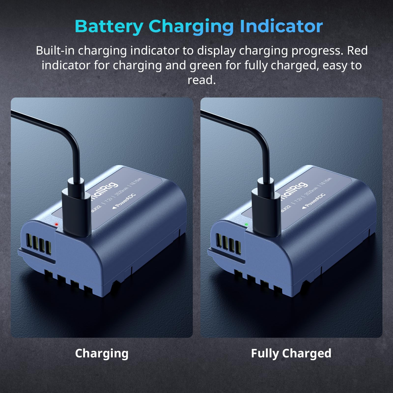 Batería de Repuesto SMALLRIG 2520 mAh USB-C para Panasonic DMW-BLK22