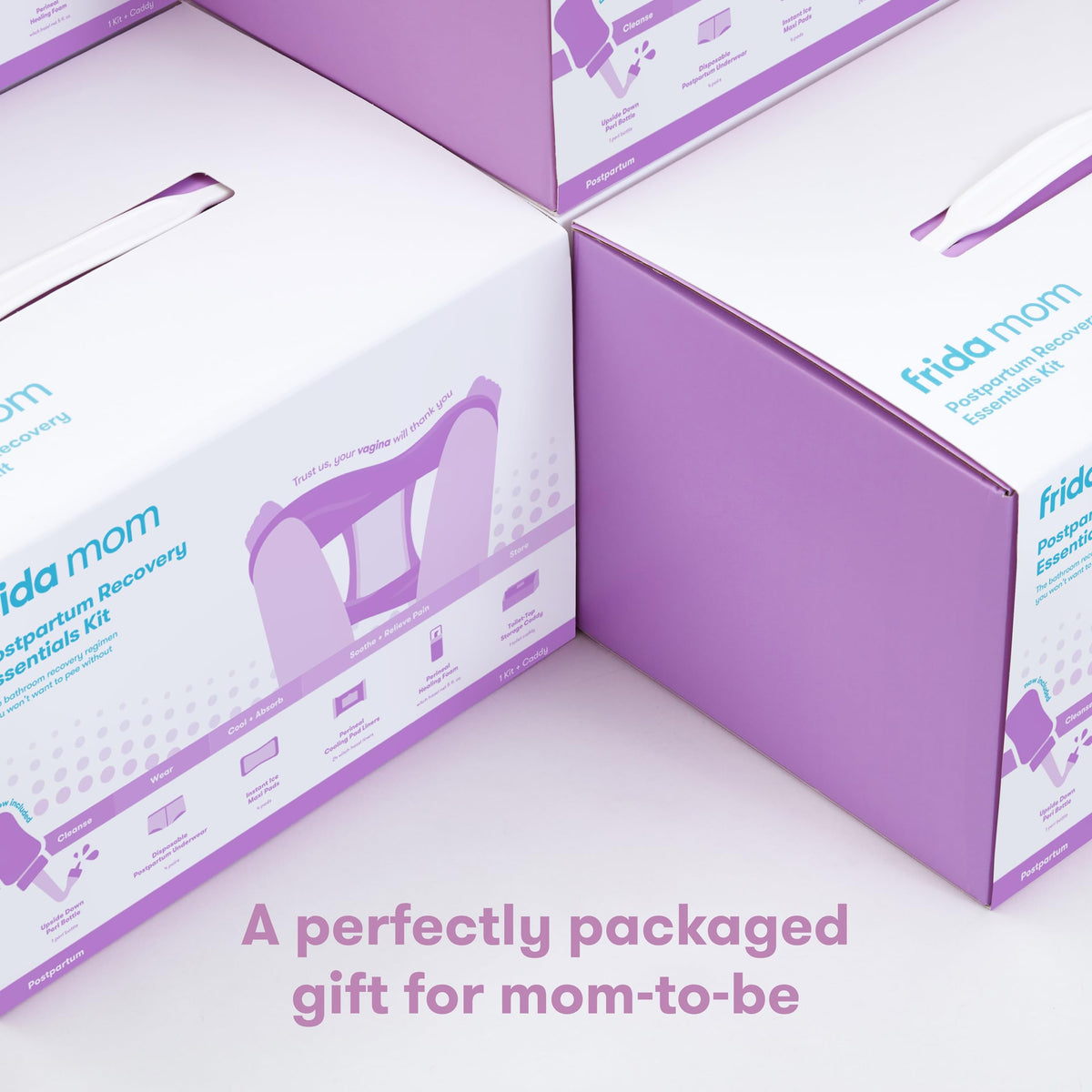 Frida Mom Kit de Esenciales Posparto, Incluye Botella Invertida, 4 Calzones Desechables, 4 Toallas Femeninas Frías, 24 Recubrimientos y Espuma de Hamamelis, Gris, Talla Unica