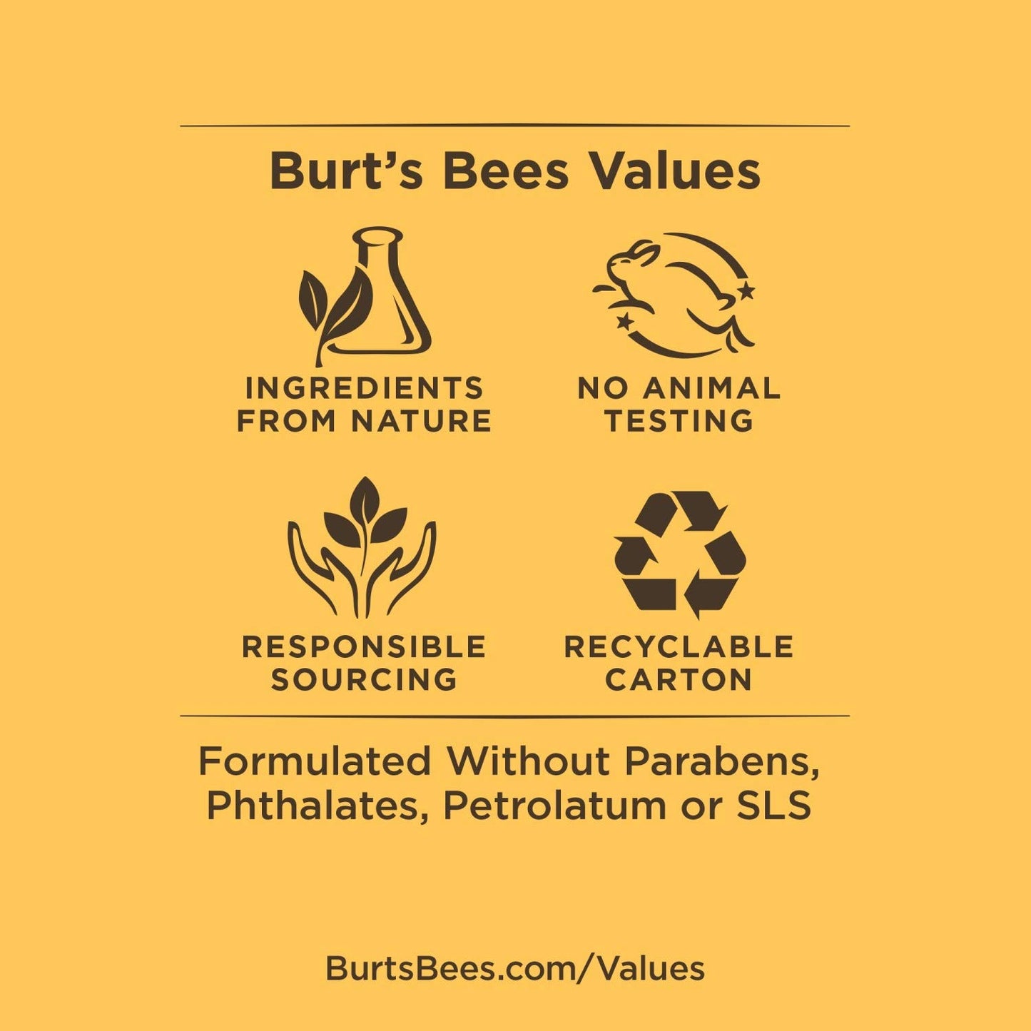 Burt's Bees Bálsamo Labial de Coco y Pera and Mango - Coconut and Pear and Mango Lipbalm - Pack x2
