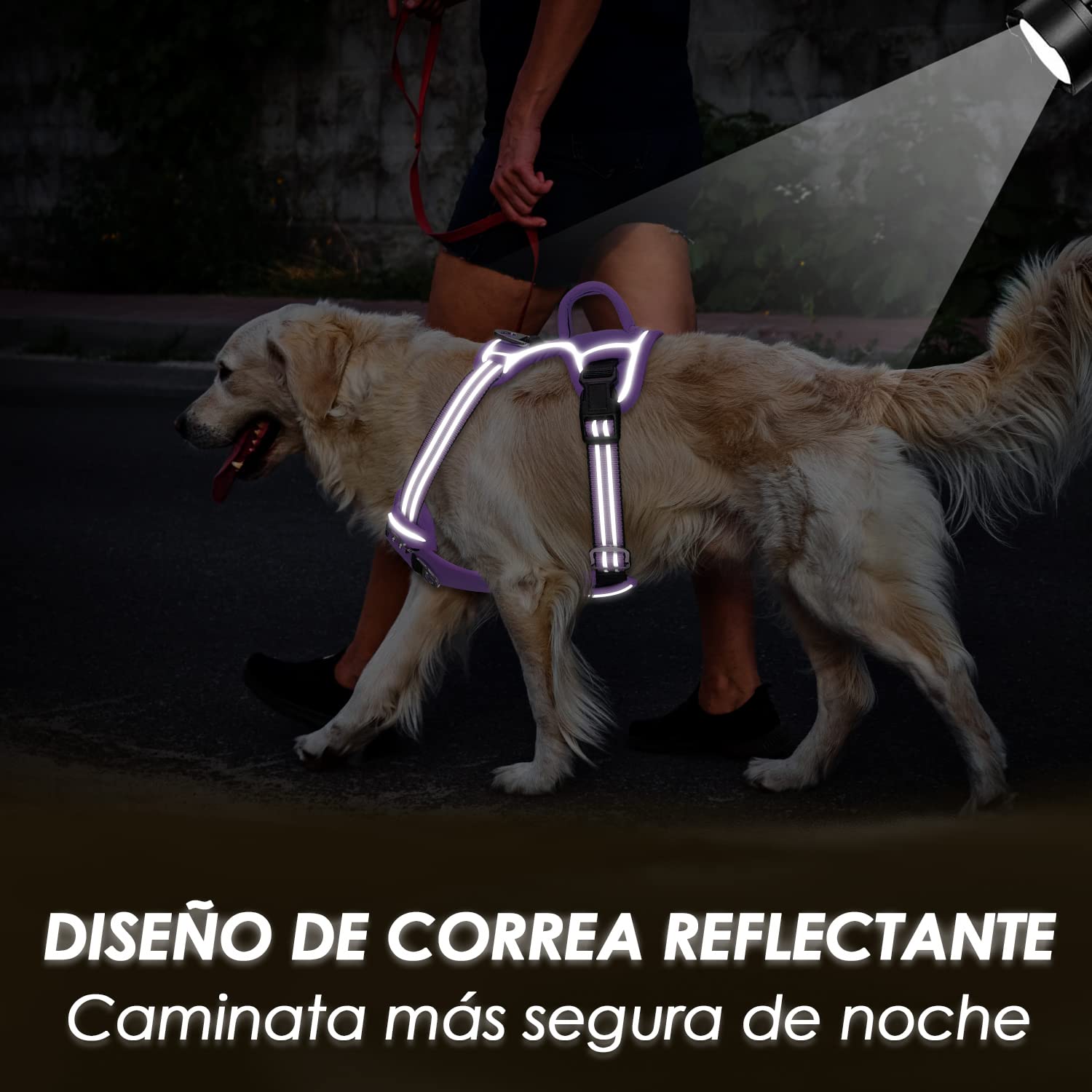 Arnés de Perros SlowTon Púrpura Reflectante Transpirable Ajustable Anti Tirones para Entrenamiento (XL)