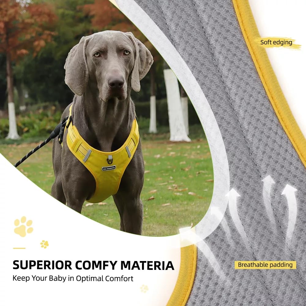 Pechera Arnés con Correa 1.5m UNA MASCOTA Amarillo para Perro Chico Mediano y Grande