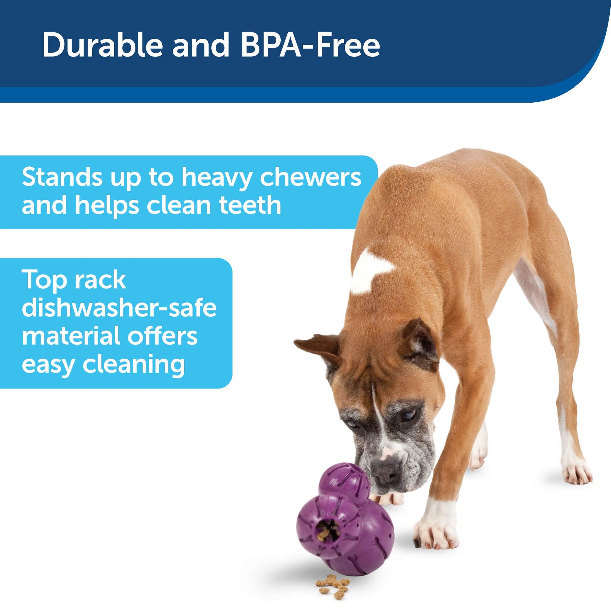 Juguete para Masticar PetSafe Busy Buddy Barnacle dispensador para Perros