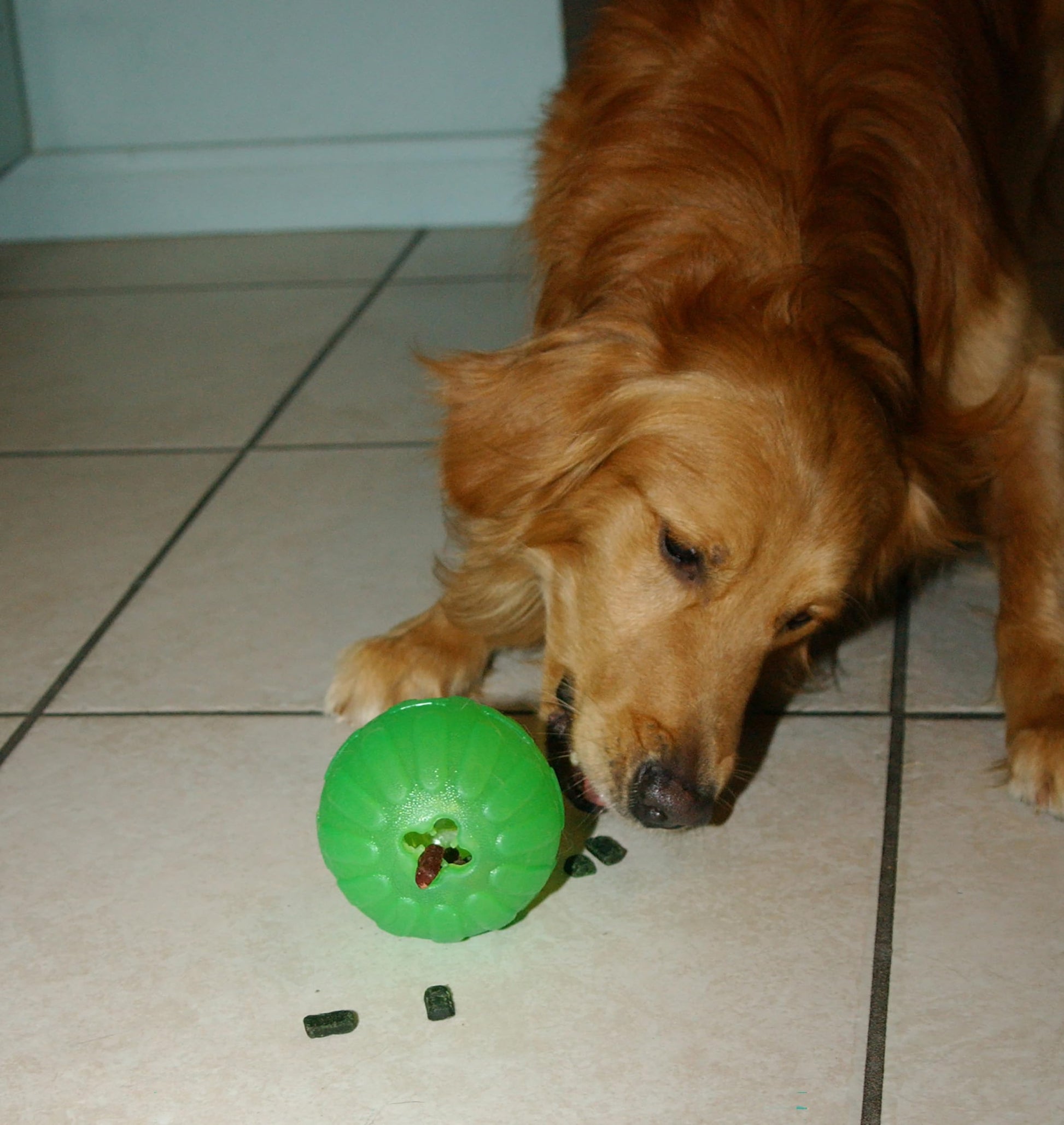Pelota Dispensadora Starmark Resistente para Perro Grande