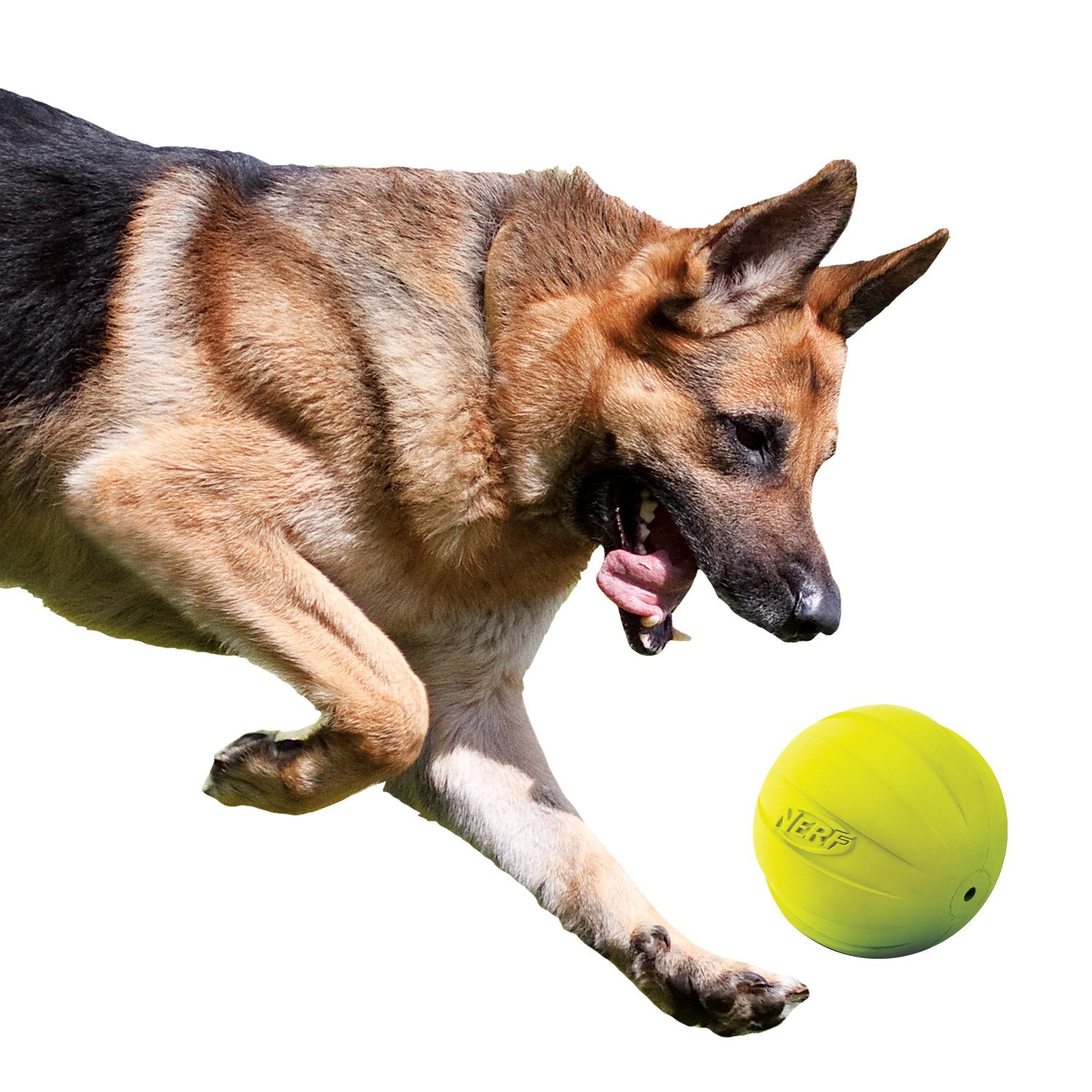 Pelota de Goma Nerf Verde con Chirriador Ligera y Resistente al Agua para Perro de Razas Medianas y Grandes