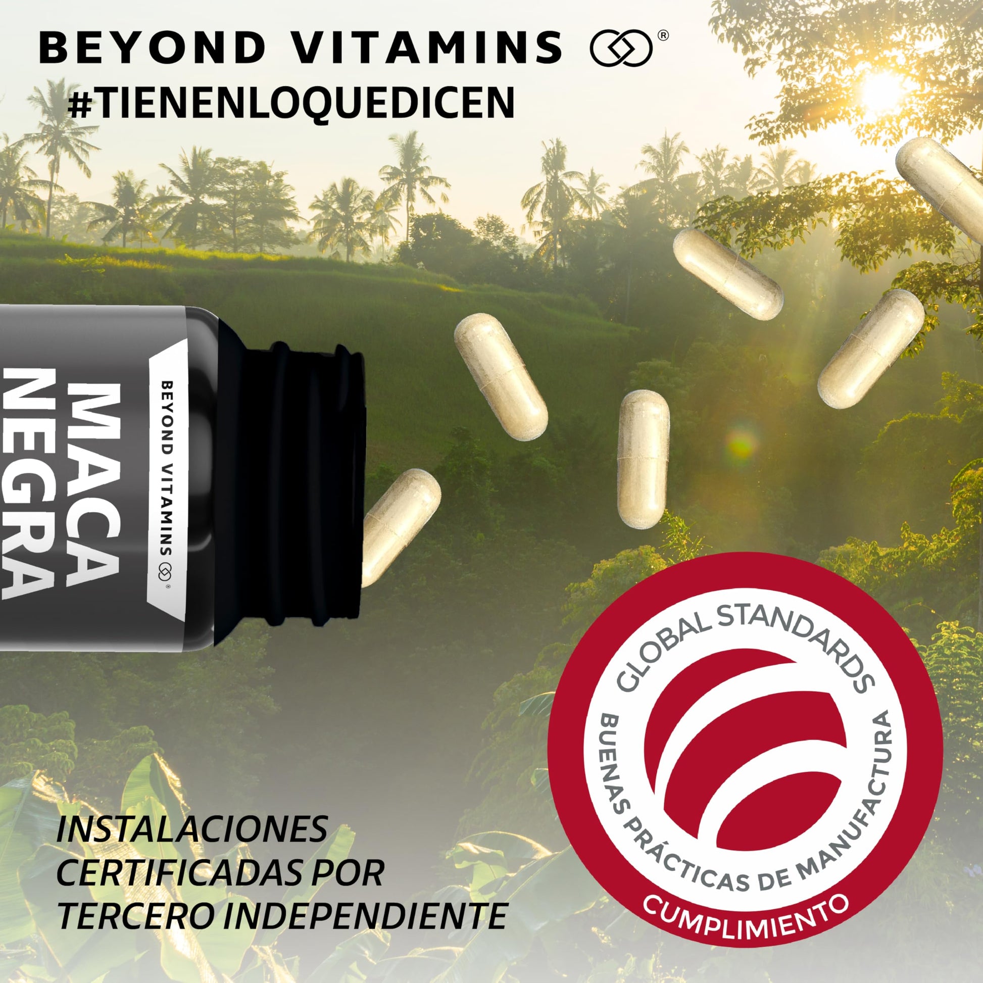 Maca Negra | 1000 mg de Maca Negra Peruana Orgánica por porción | Sin Azúcar - Suplemento Alimenticio Vegano - Ingredientes NON GMO (60 Cápsulas)