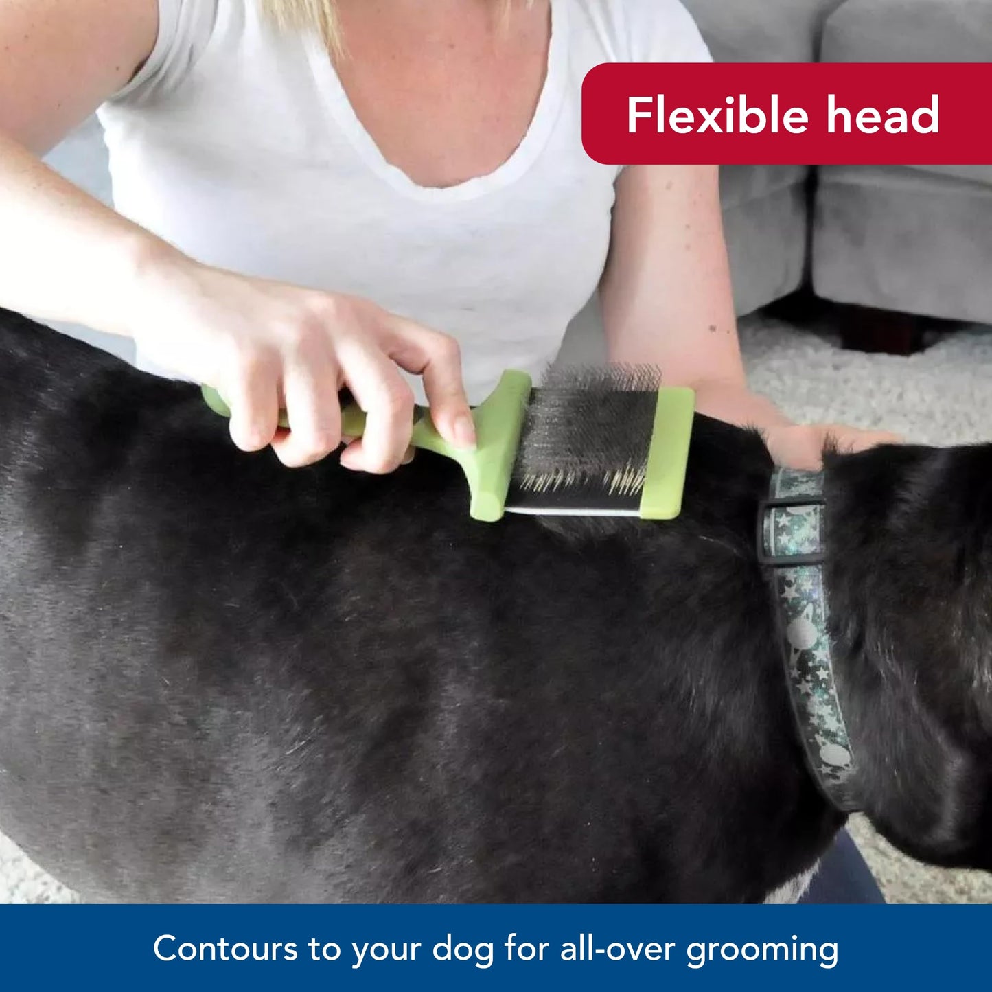 Coastal Pet Safari - Cepillo flexible para perros – Cepillo para perros para desprendimiento, rastrillo de capa inferior y cepillo de aseo para perros pequeños y medianos, pequeño