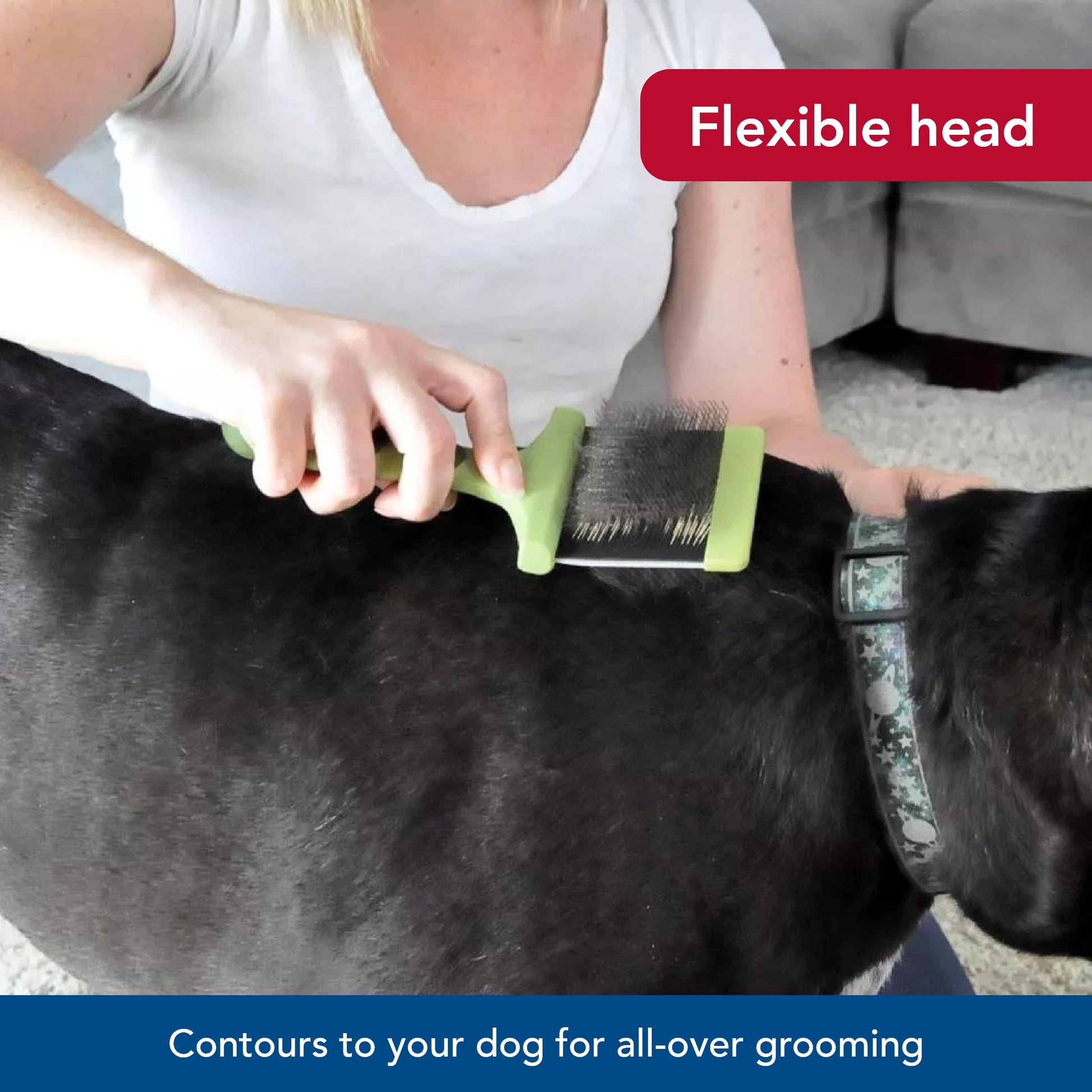 Coastal Pet Safari - Cepillo flexible para perros – Cepillo para perros para desprendimiento, rastrillo de capa inferior y cepillo de aseo para perros pequeños y medianos, pequeño