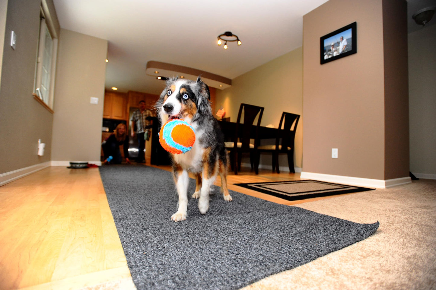 Chuck It Pelota Suave Indoor, Colores Surtidos